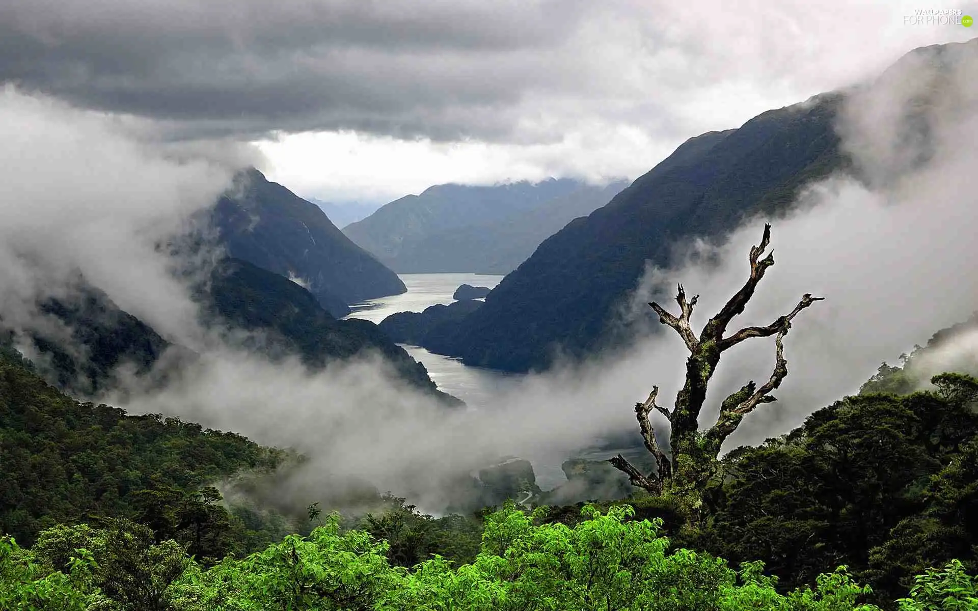 River, Mountains, water, forest, Steam