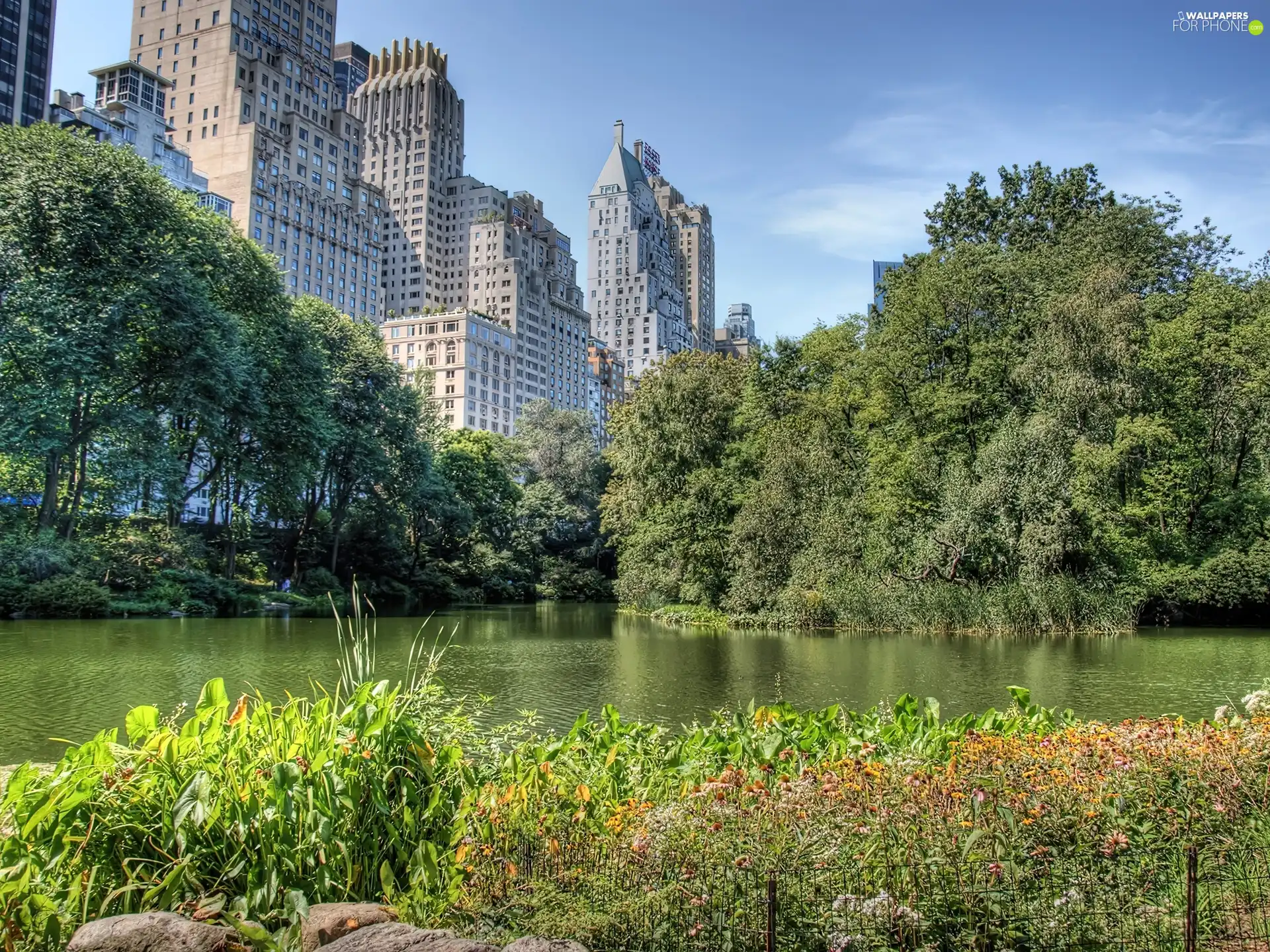 Central Park, skyscrapers, River, New York
