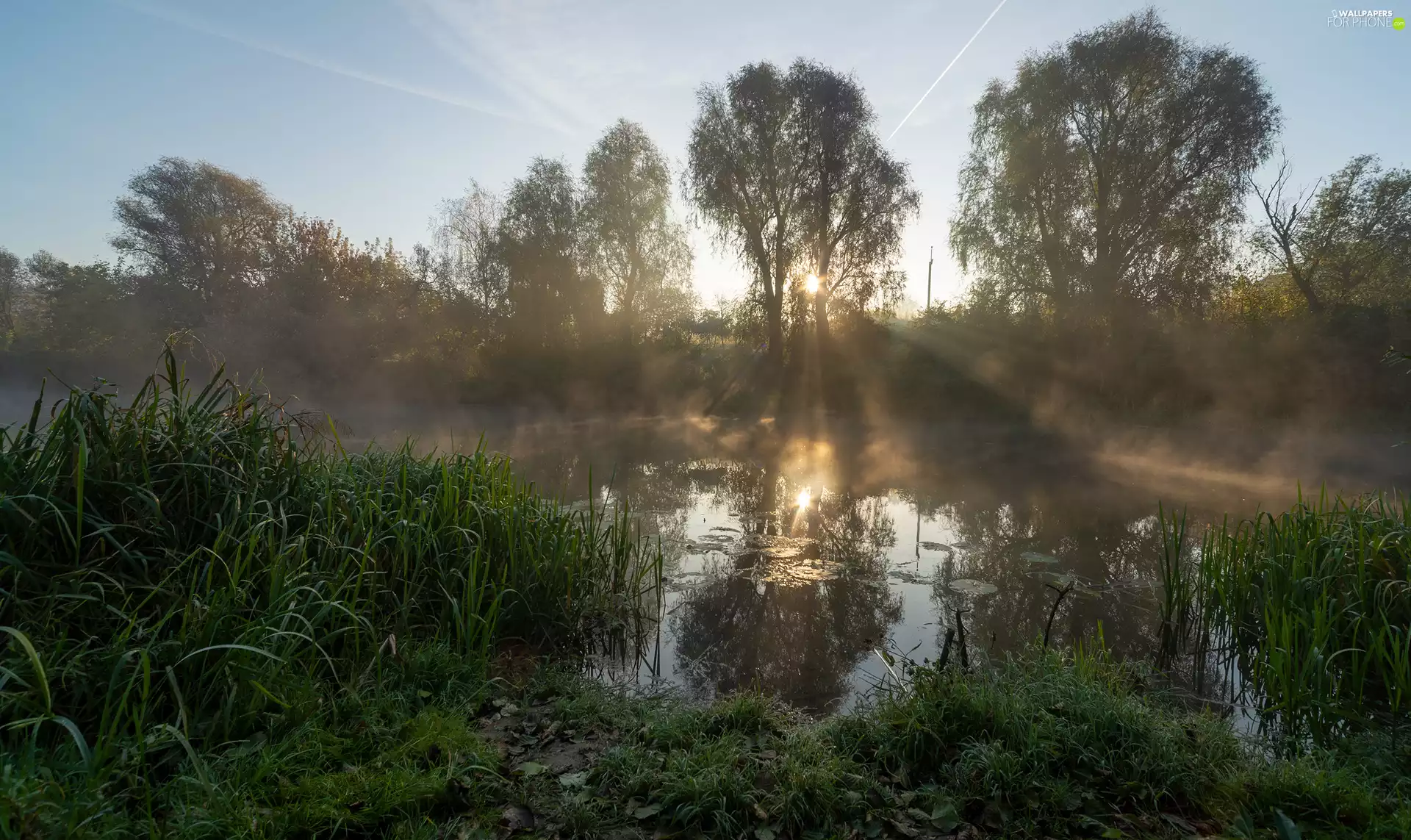 viewes, rays of the Sun, grass, trees, River