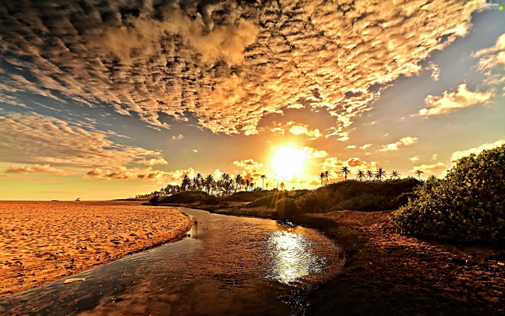 dawn, Sky, River, Palms, Desert, clouds