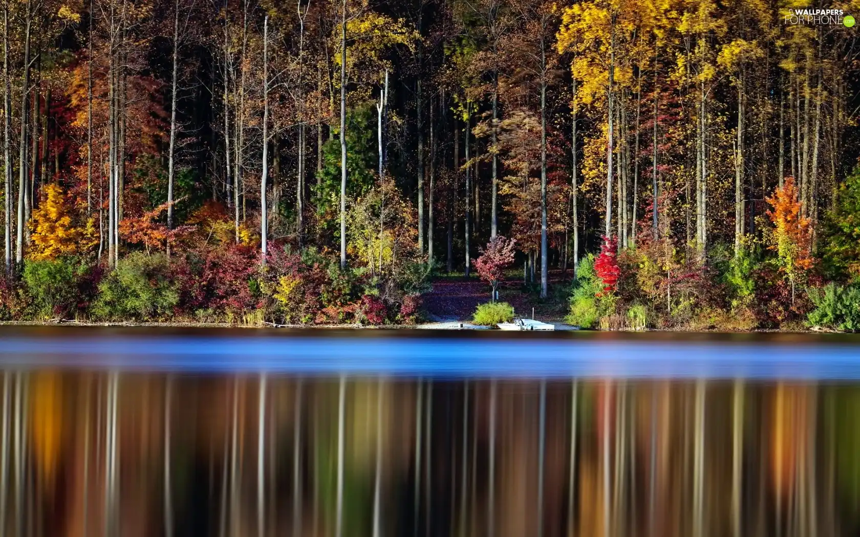 River, reflection, trees, viewes, forest