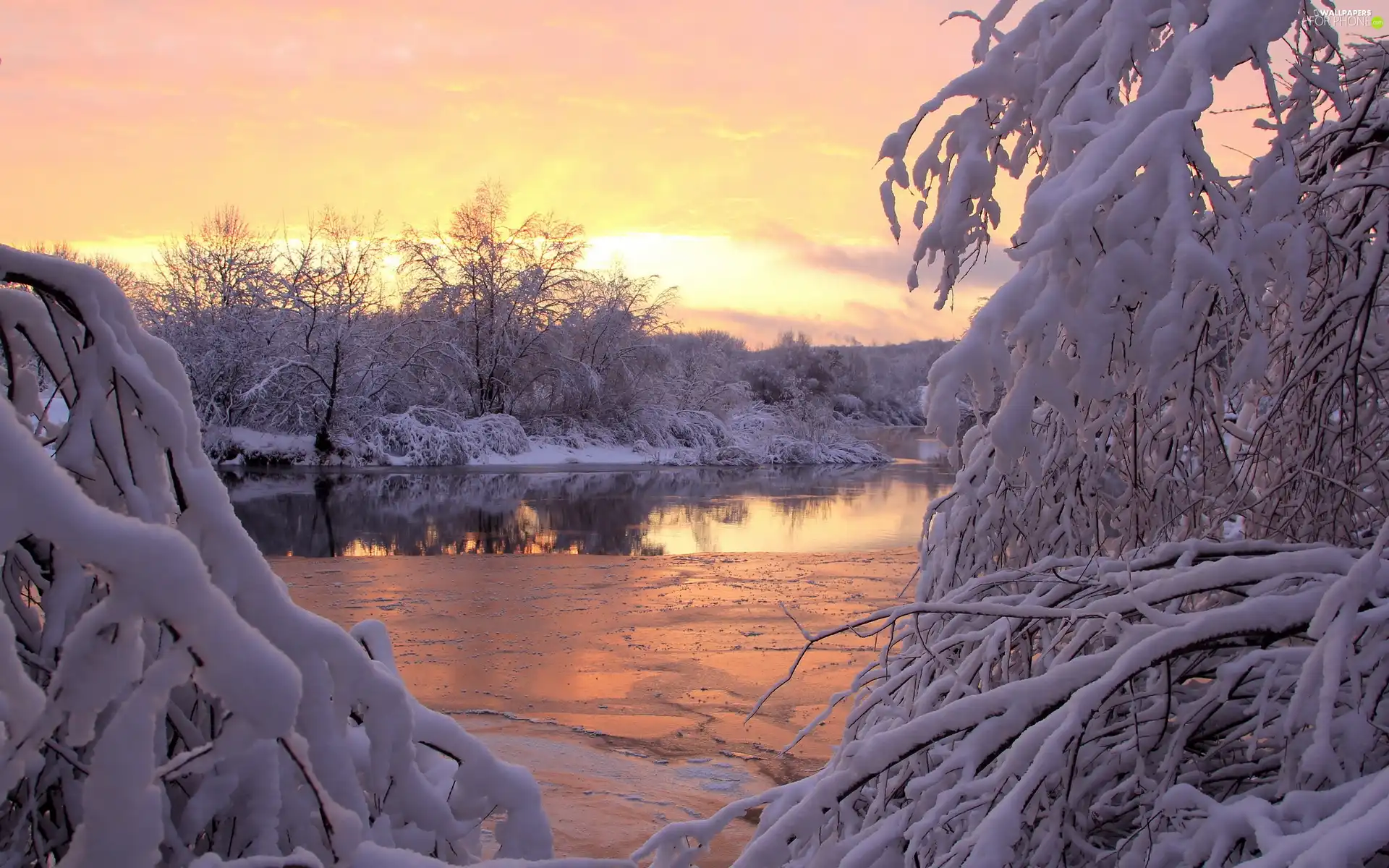 Bush, trees, River, rime, snow, viewes