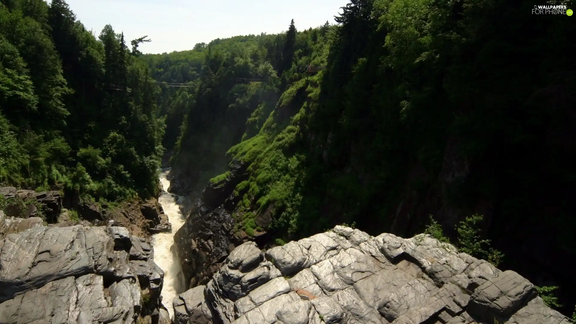 River, woods, rocks