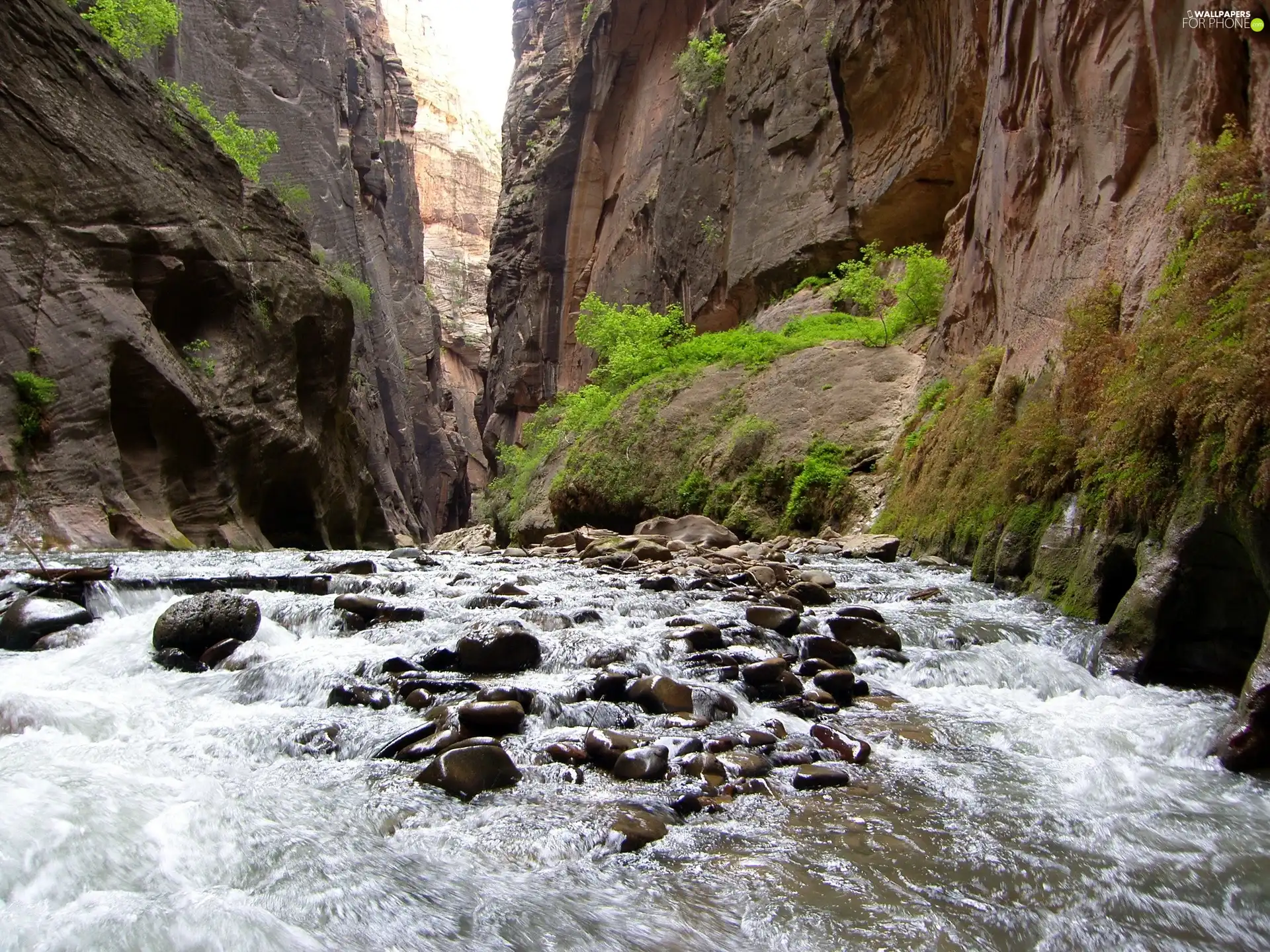 River, rocks, Stones