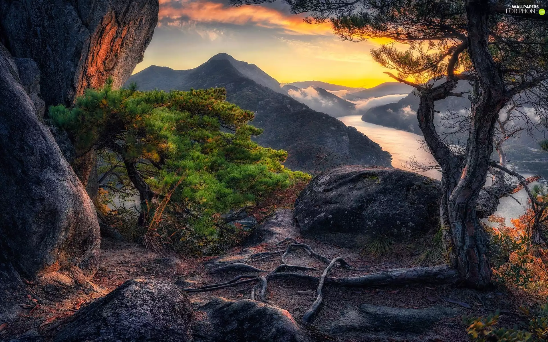 River, Mountains, rocks, boulders, branches, roots, viewes, pine, trees