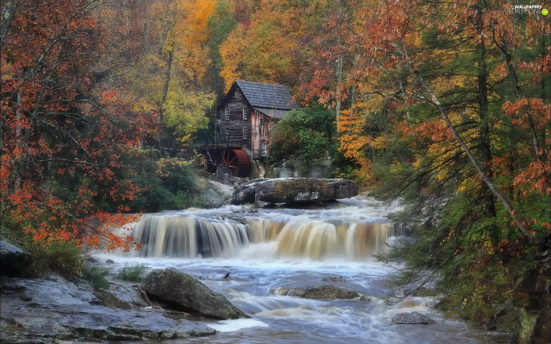 River, Windmill, trees, viewes, autumn