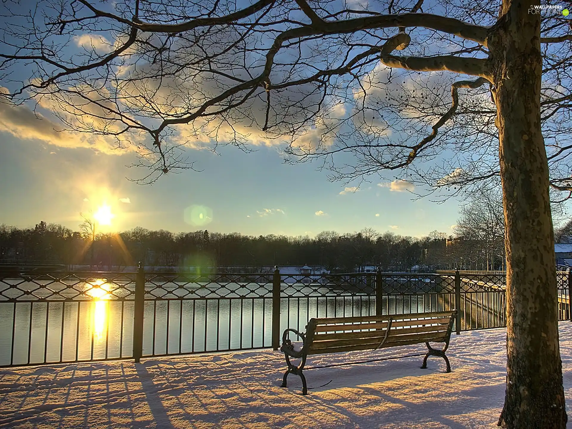 winter, by, river, morning