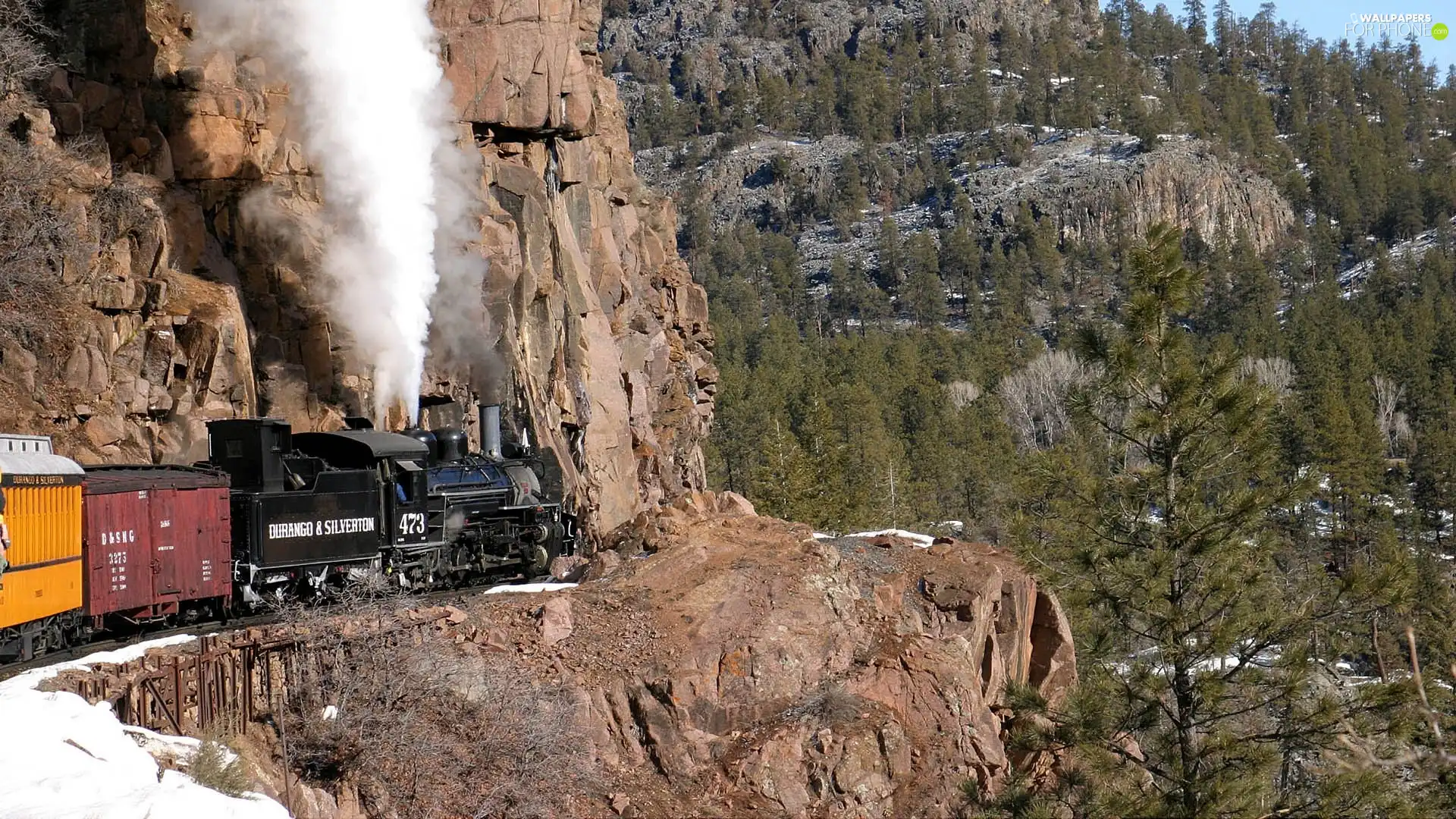 rocks, abyss, trees, viewes, Train