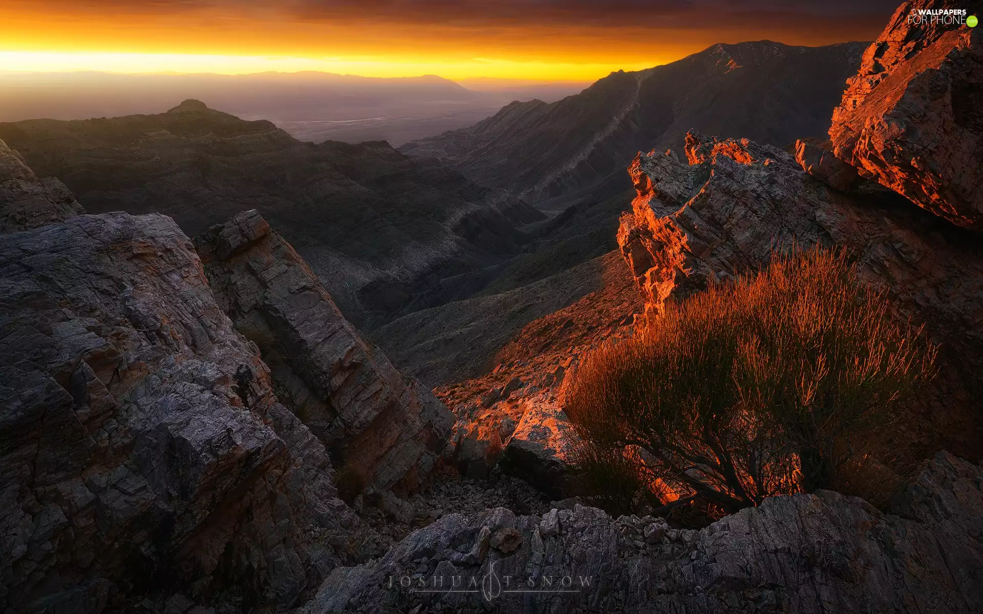 Mountains, rocks, Bush, Great Sunsets