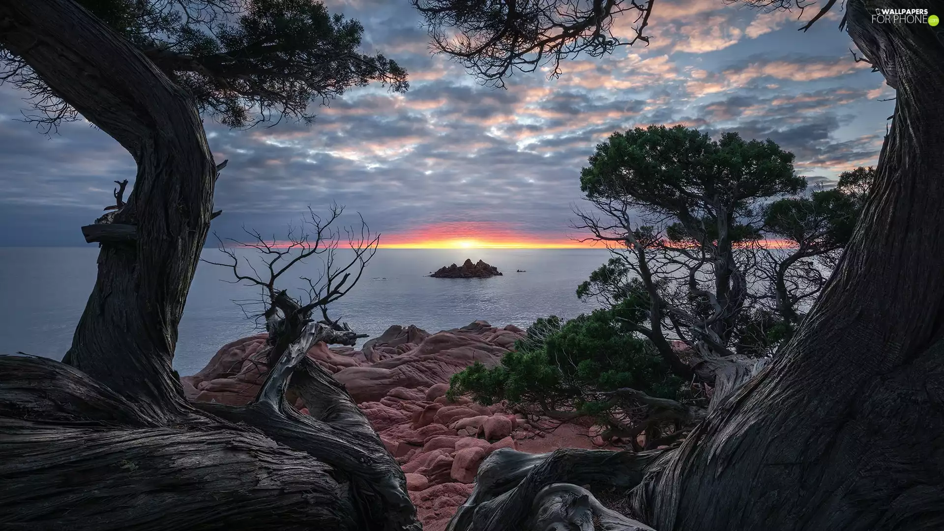 trees, Island, clouds, rocks, sea, viewes, Sunrise