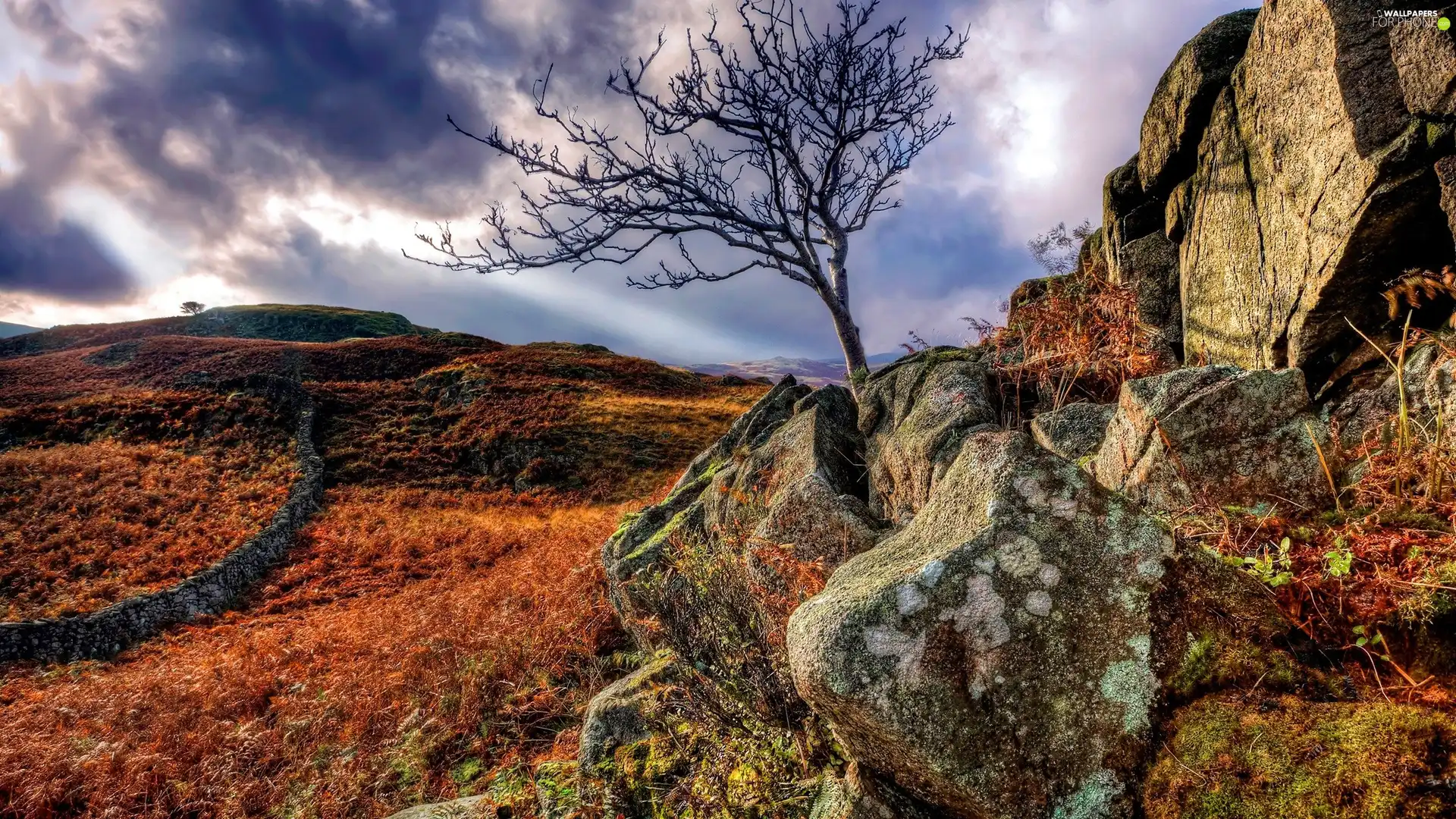 rocks, trees, clouds