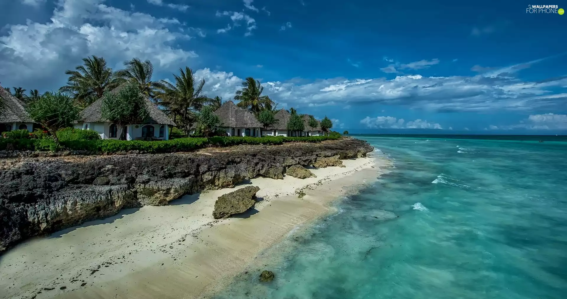 Palms, rocks, coast, Houses, sea