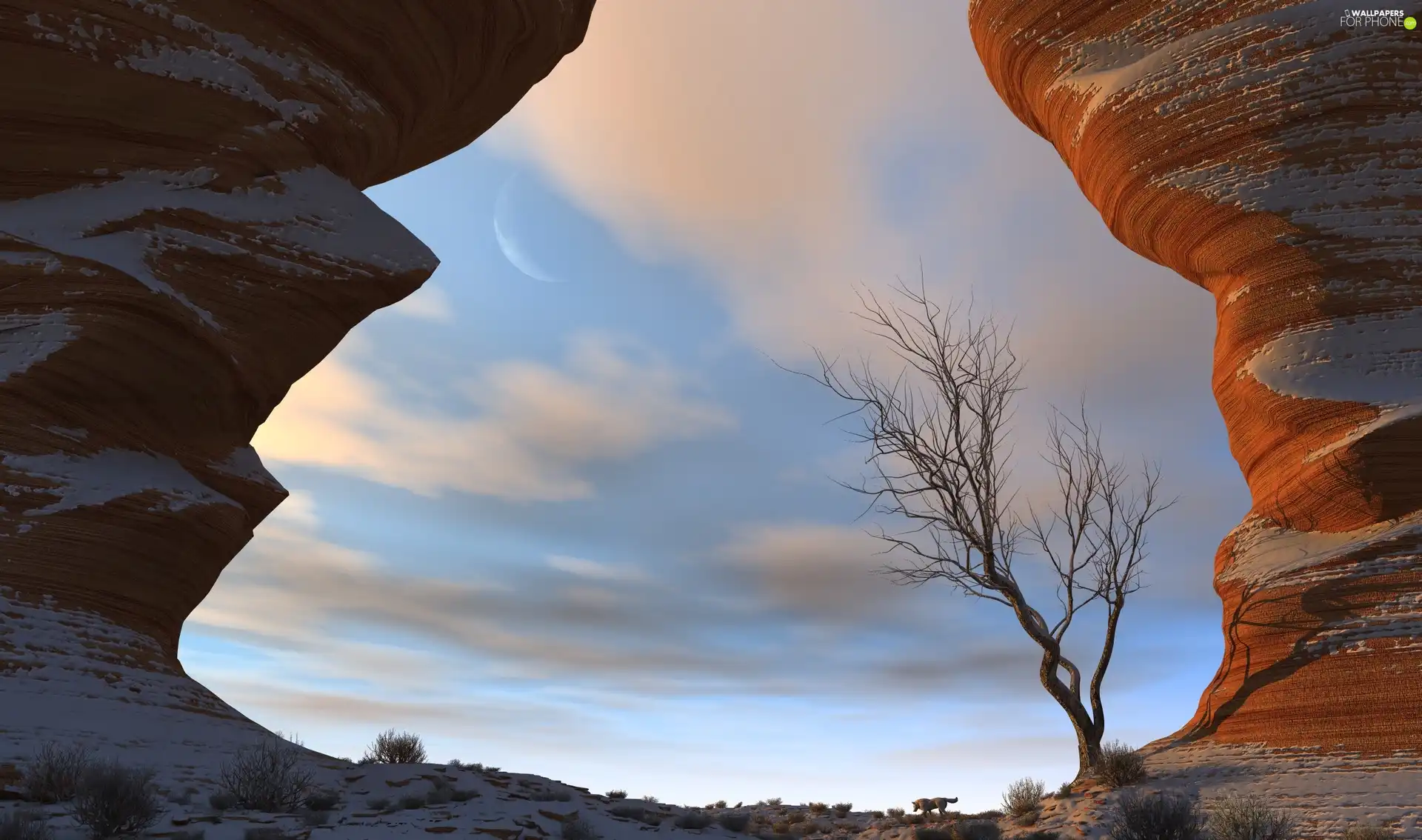 high, rocks