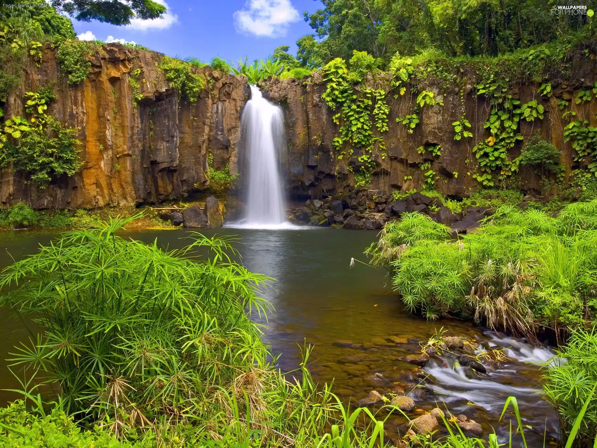 lake, Bush, rocks, waterfall