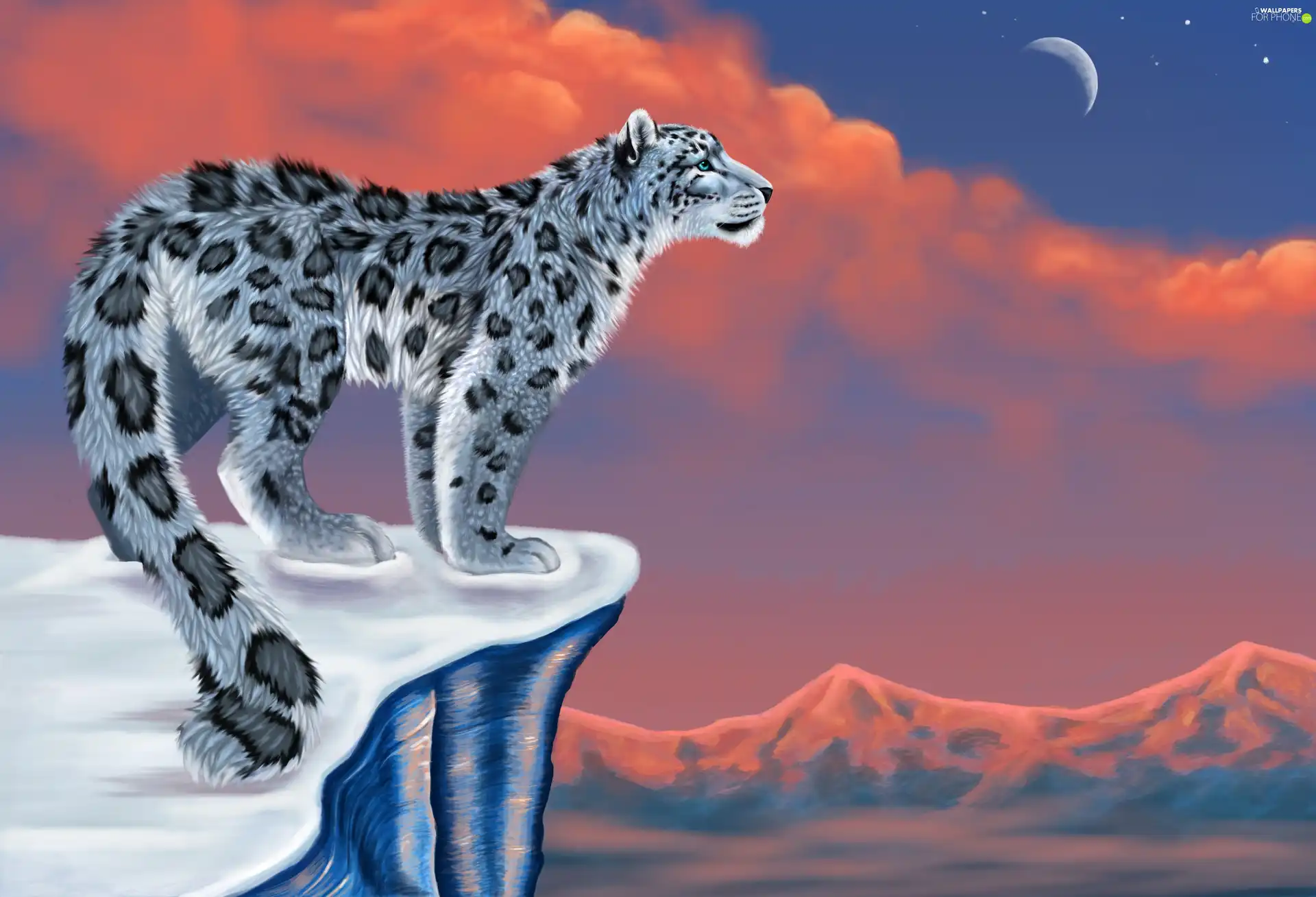 Leopards, moon, Rocks, Sky