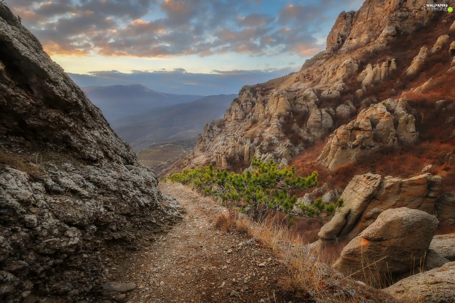 Mountains, Plants, Way, rocks