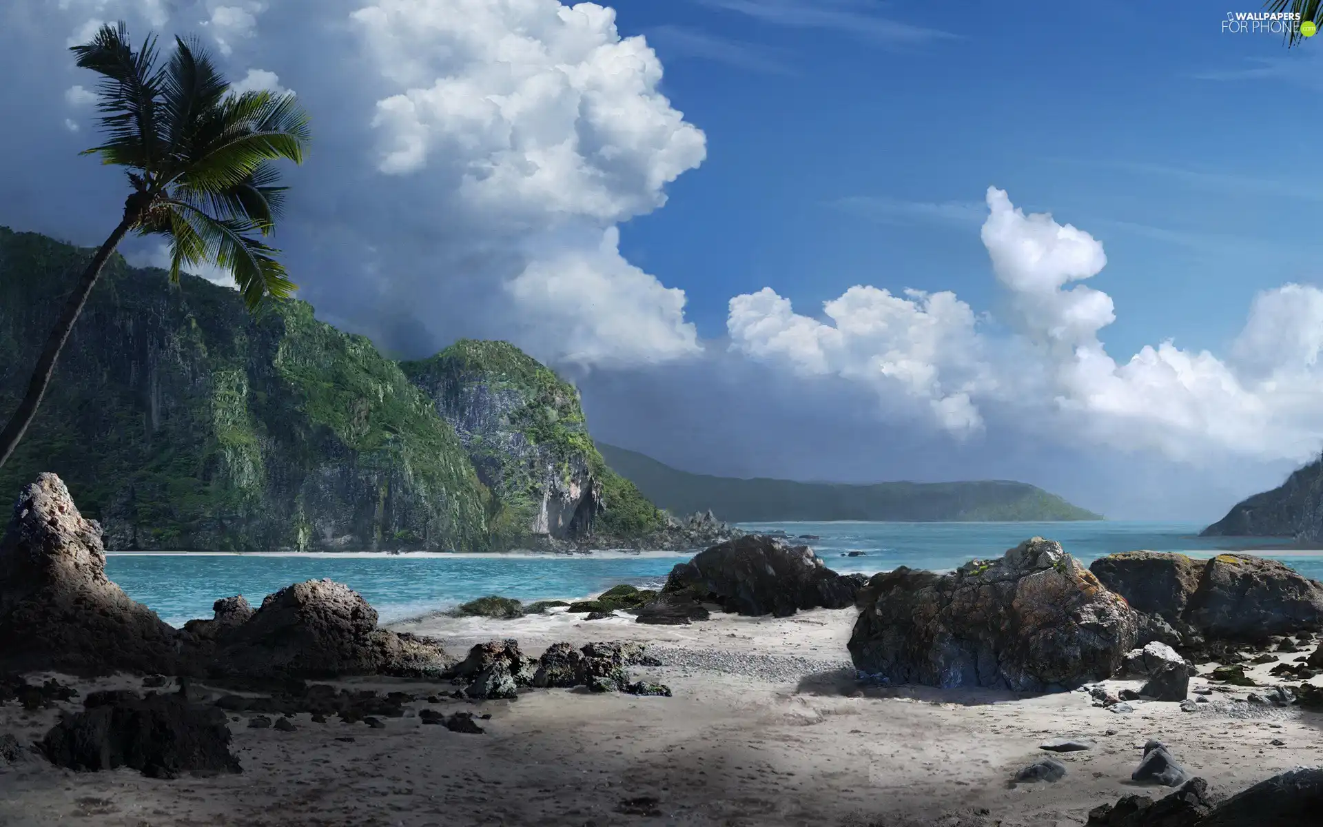 Beaches, sea, rocks, Palm, Stones, Waves