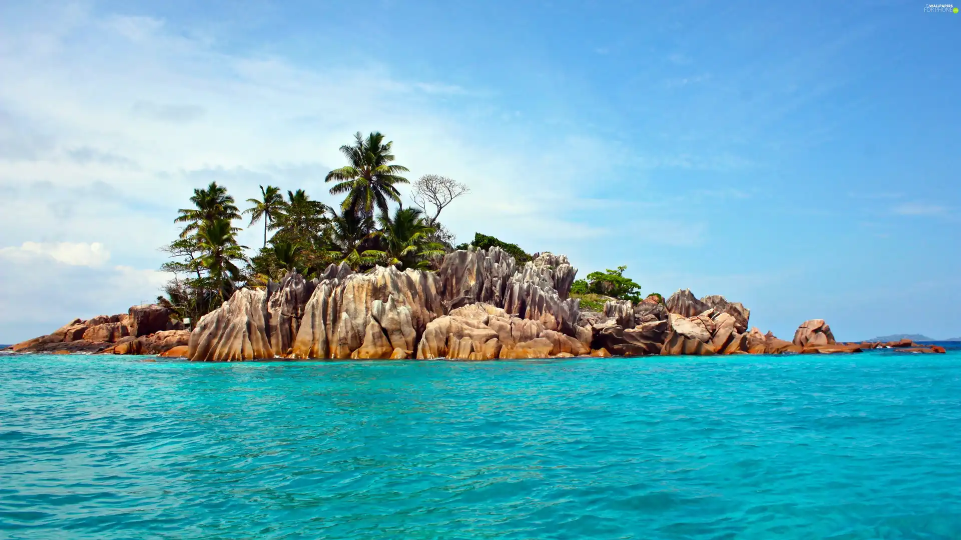 rocks, Palms, Waves, Island, sea