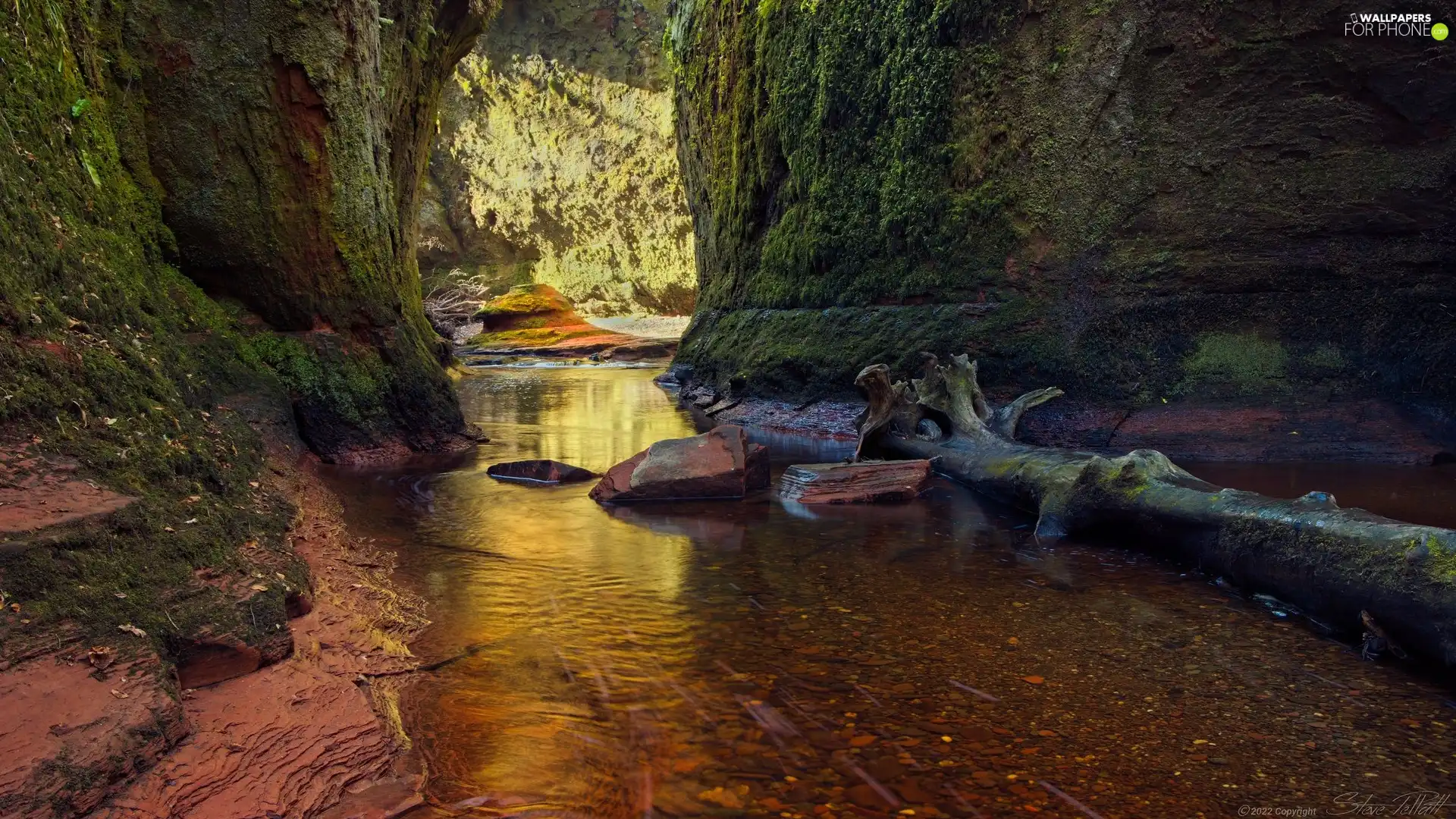 rocks, Scotland, withered, trunk, Carnock Burn River, Finnich Glen