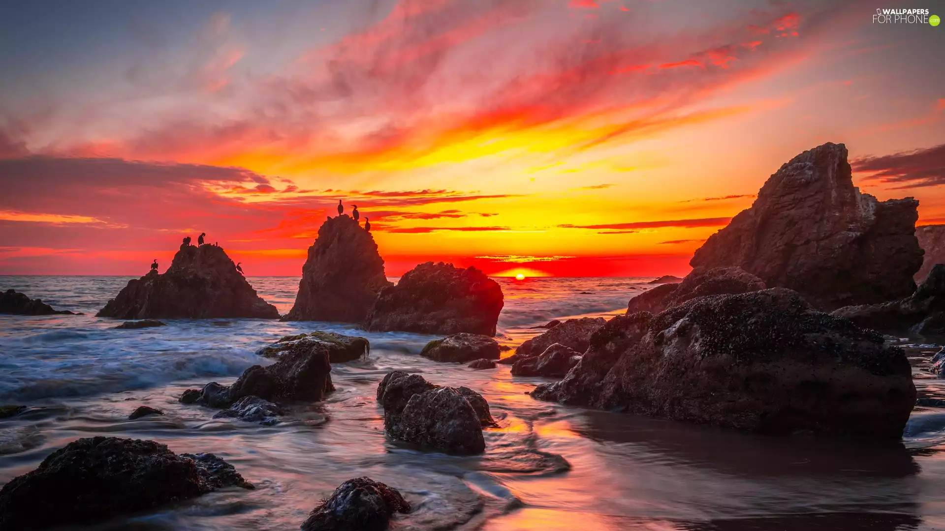 birds, Great Sunsets, rocks, Stones, sea