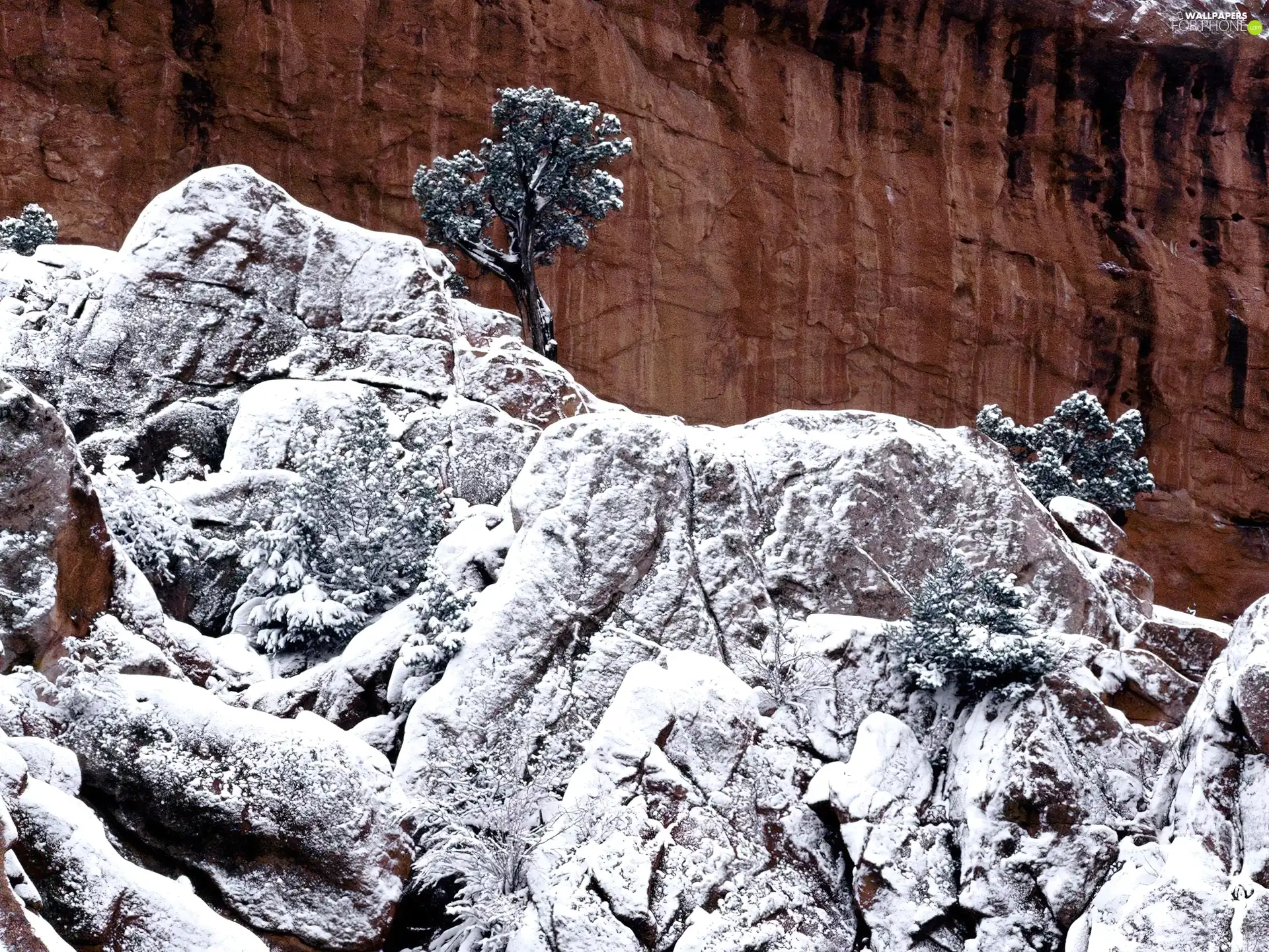 Snowy, rocks