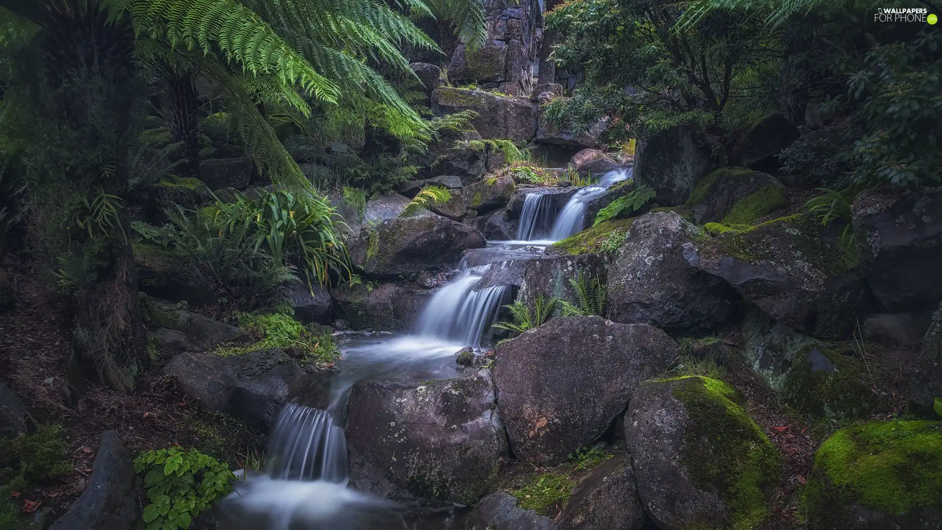 Stones, Plants, flux, rocks