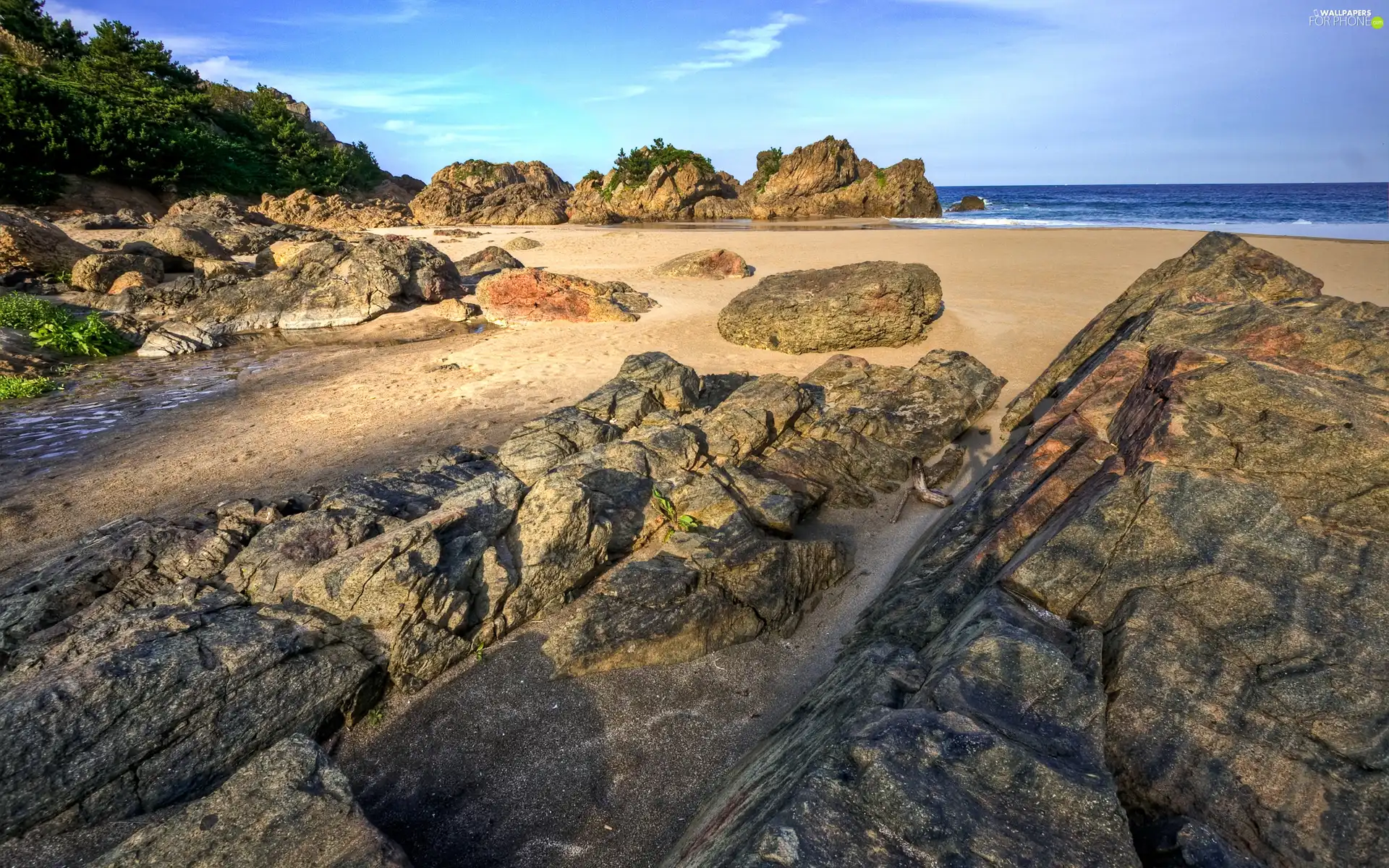 Sand, water, trees, Beaches, sea, rocks, viewes
