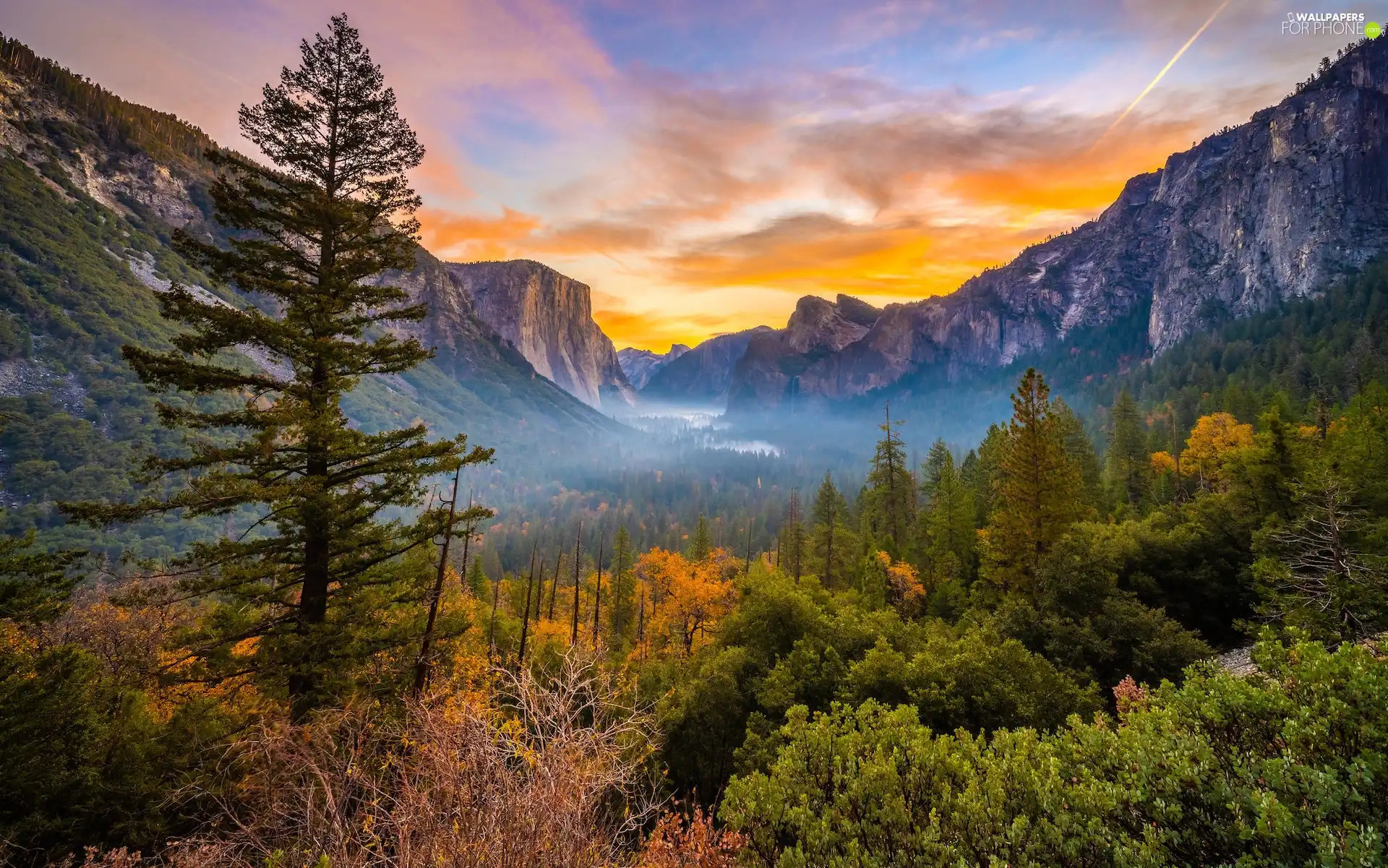 Fog, autumn, trees, California, viewes, Yosemite National Park, rocks, The United States, Mountains, Bush