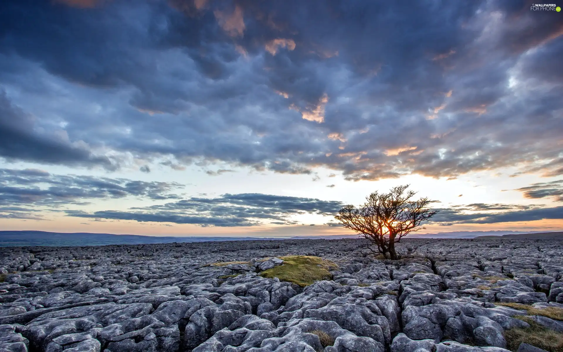 west, trees, rocks, sun