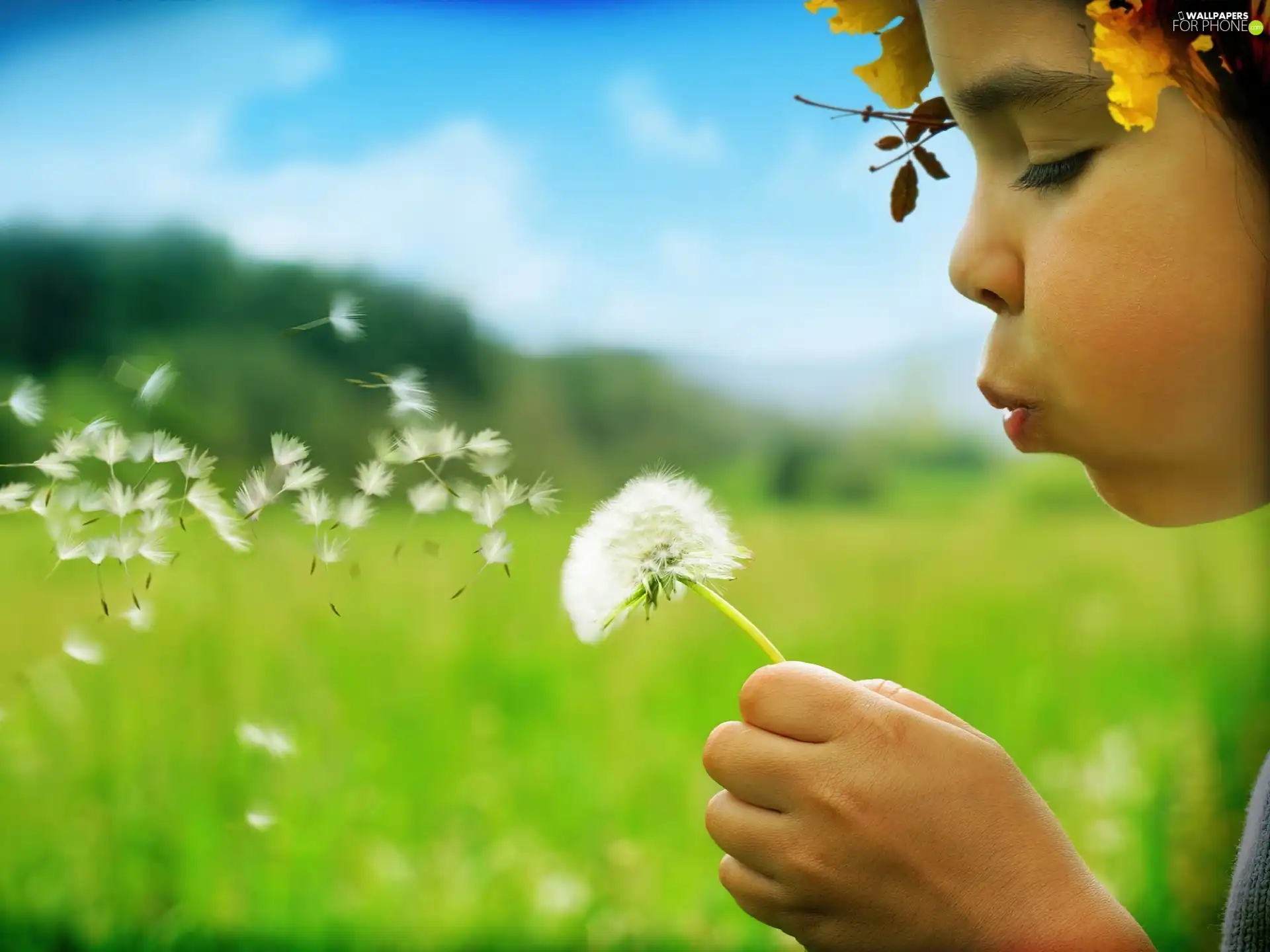 girl, Colourfull Flowers, roes, wreath