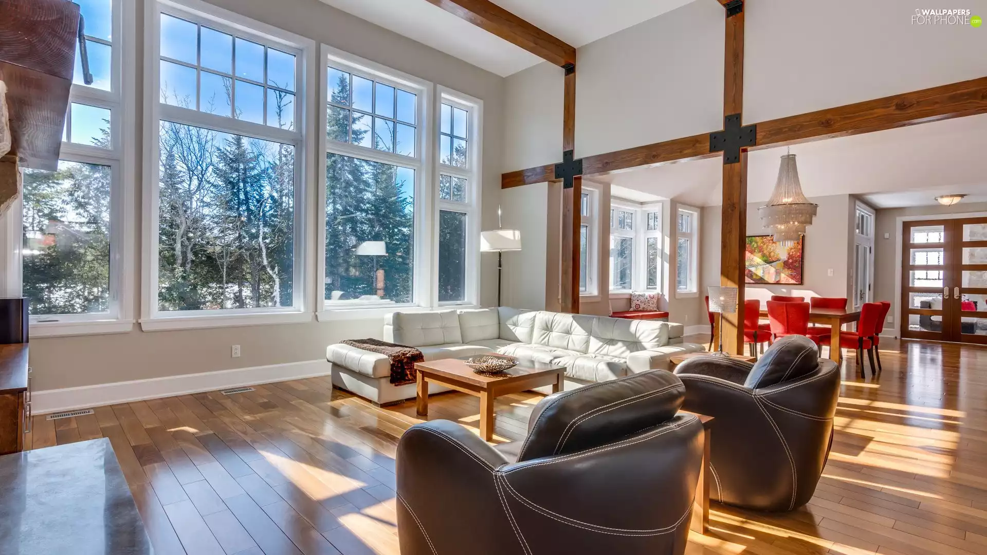 Windows, dining room, Room, seats, Spacious