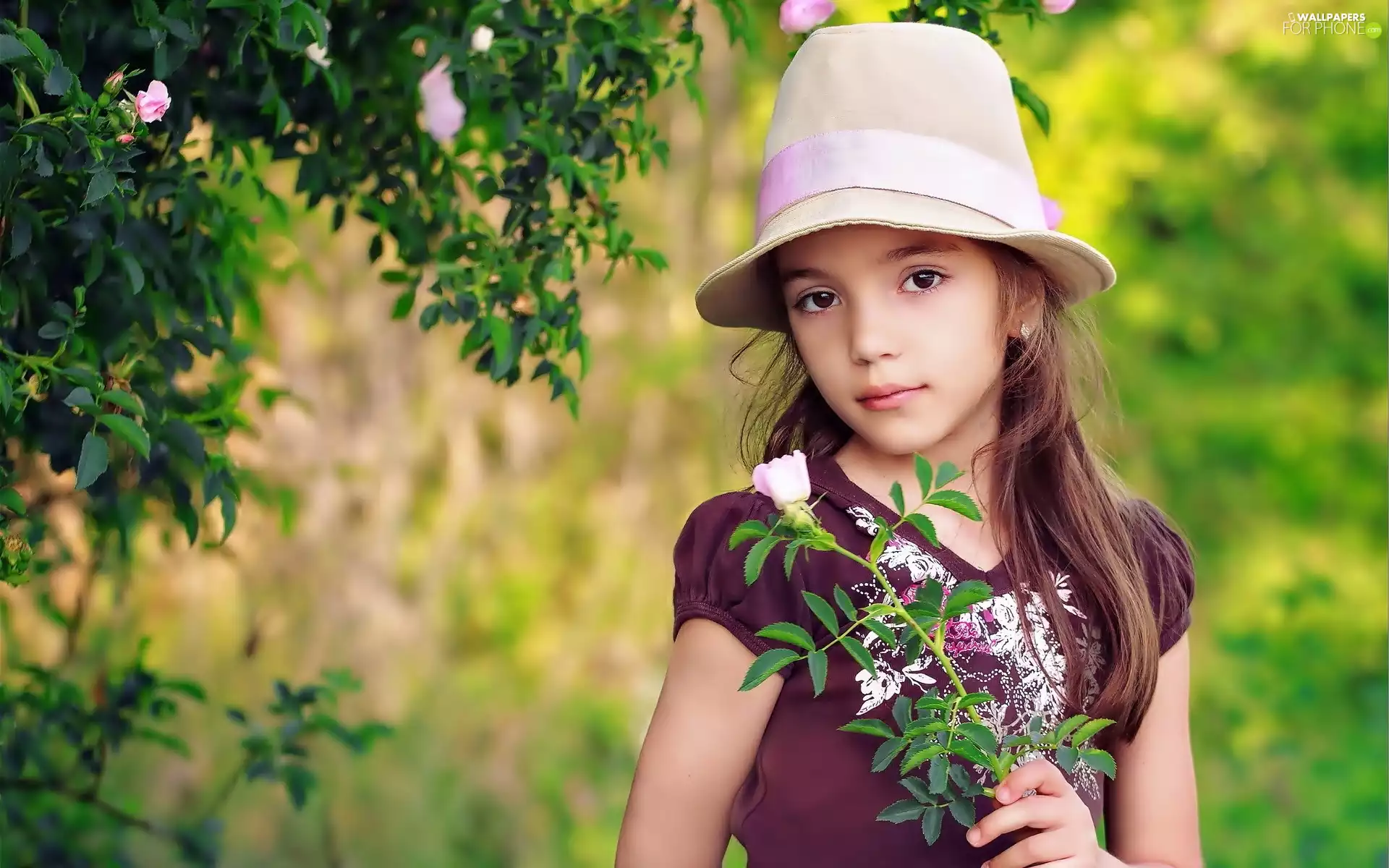 rose, girl, Hat