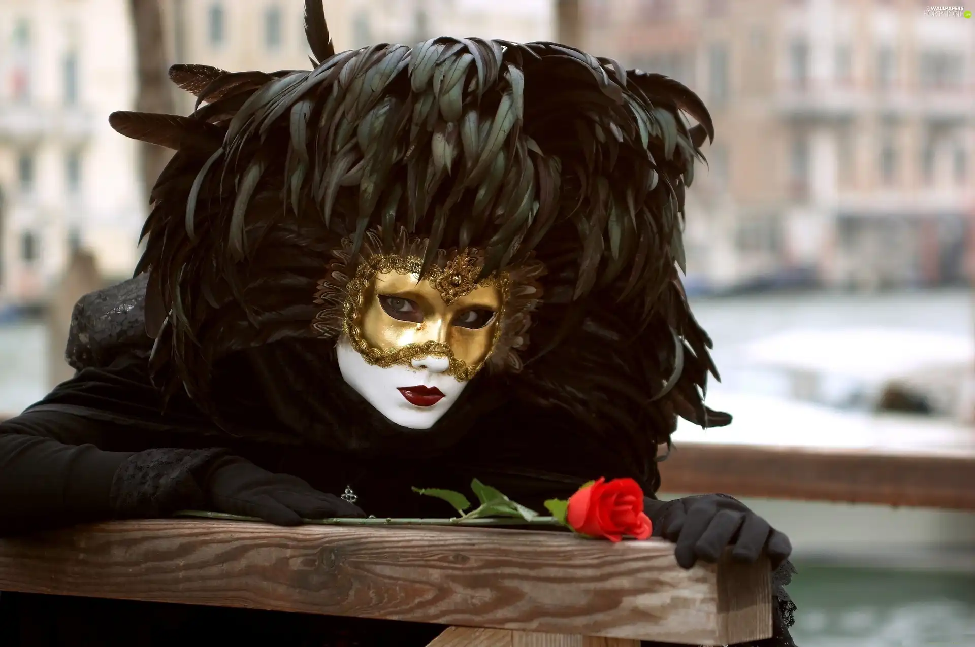 rose, Women, Mask