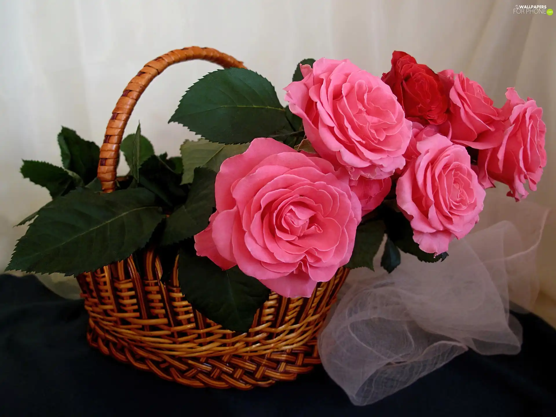 basket, roses