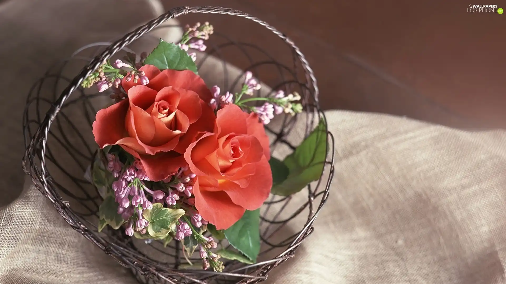 roses, Metal, basket