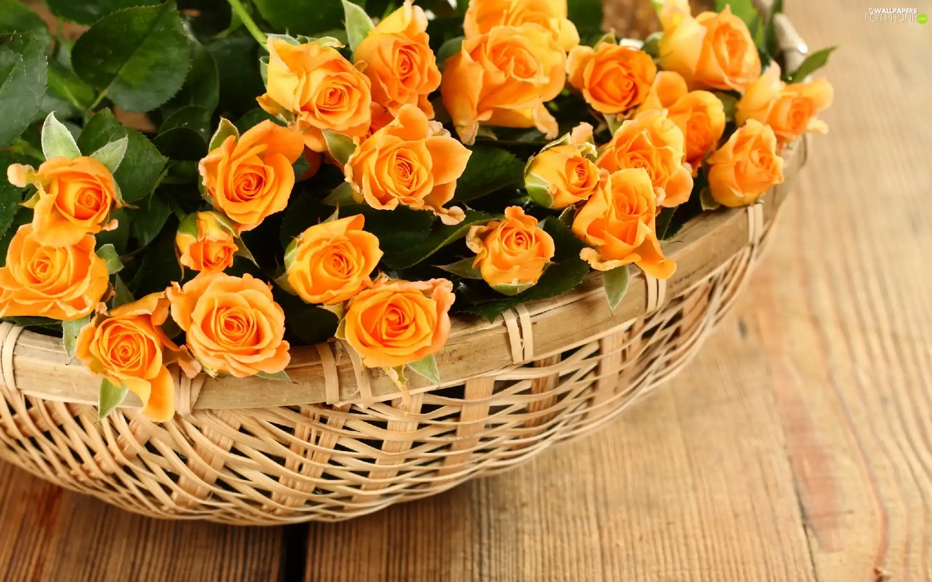 roses, wicker, basket