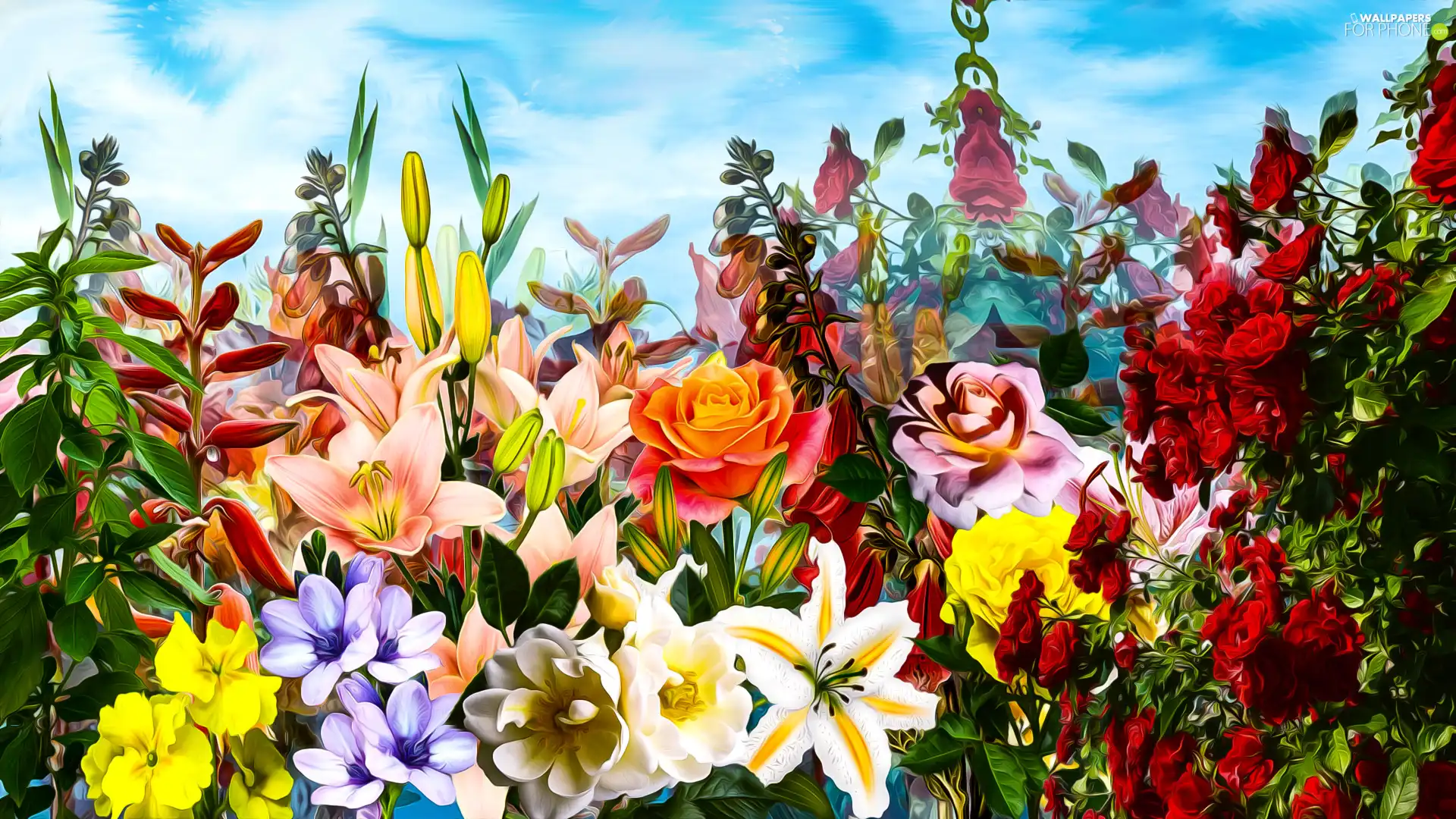 Flowers, lilies, graphics, roses