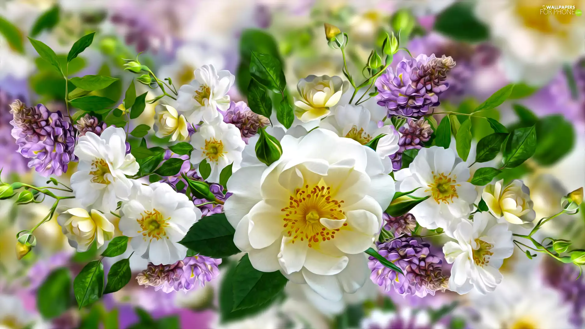 Flowers, lupine, graphics, roses