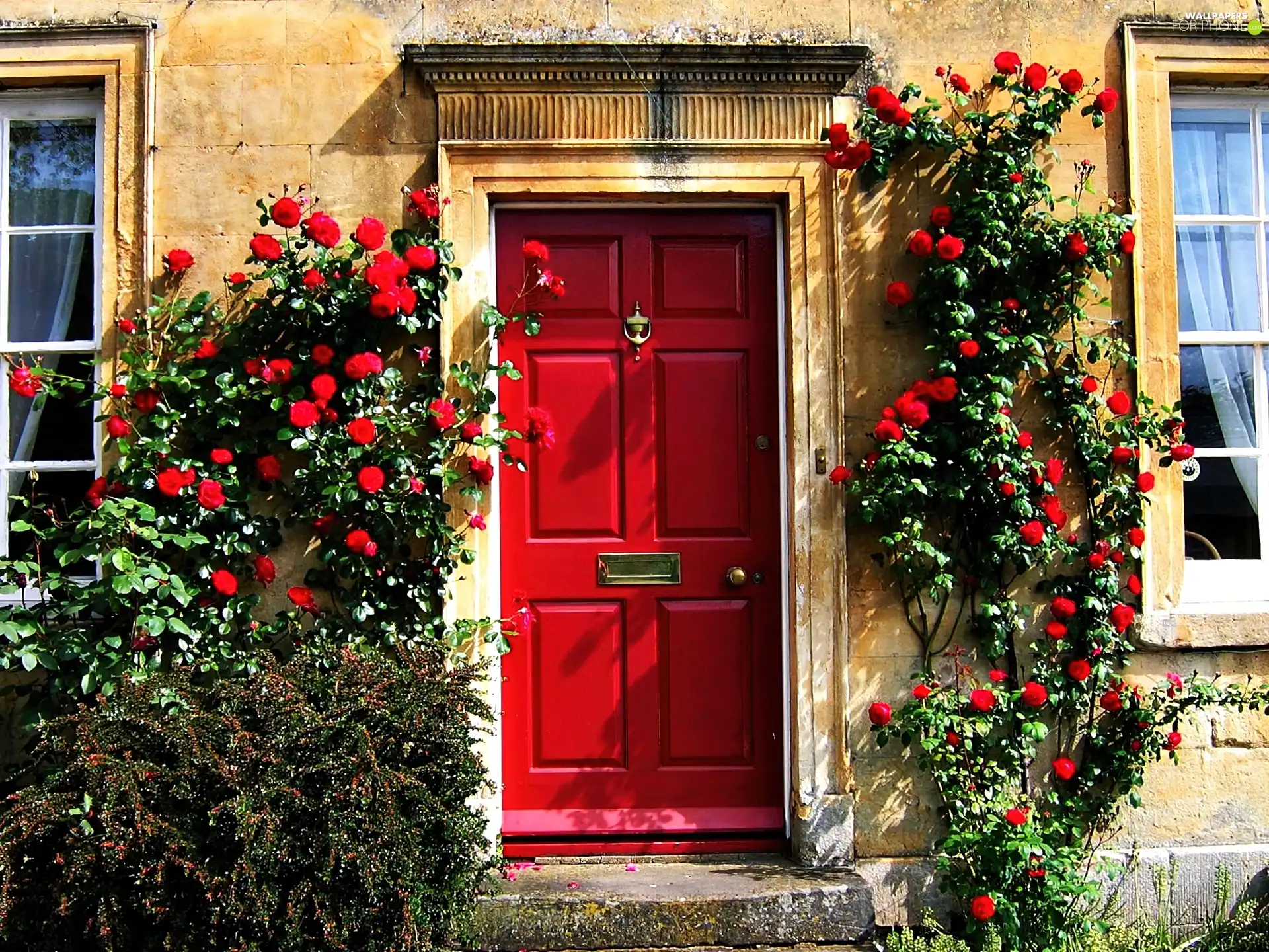 house, Doors, roses, Red