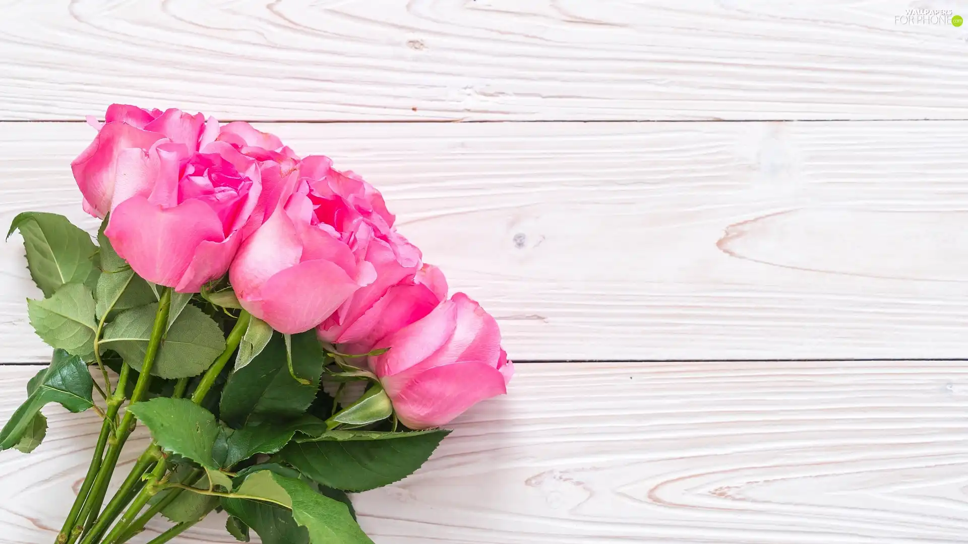 Pink, bunch, boarding, roses