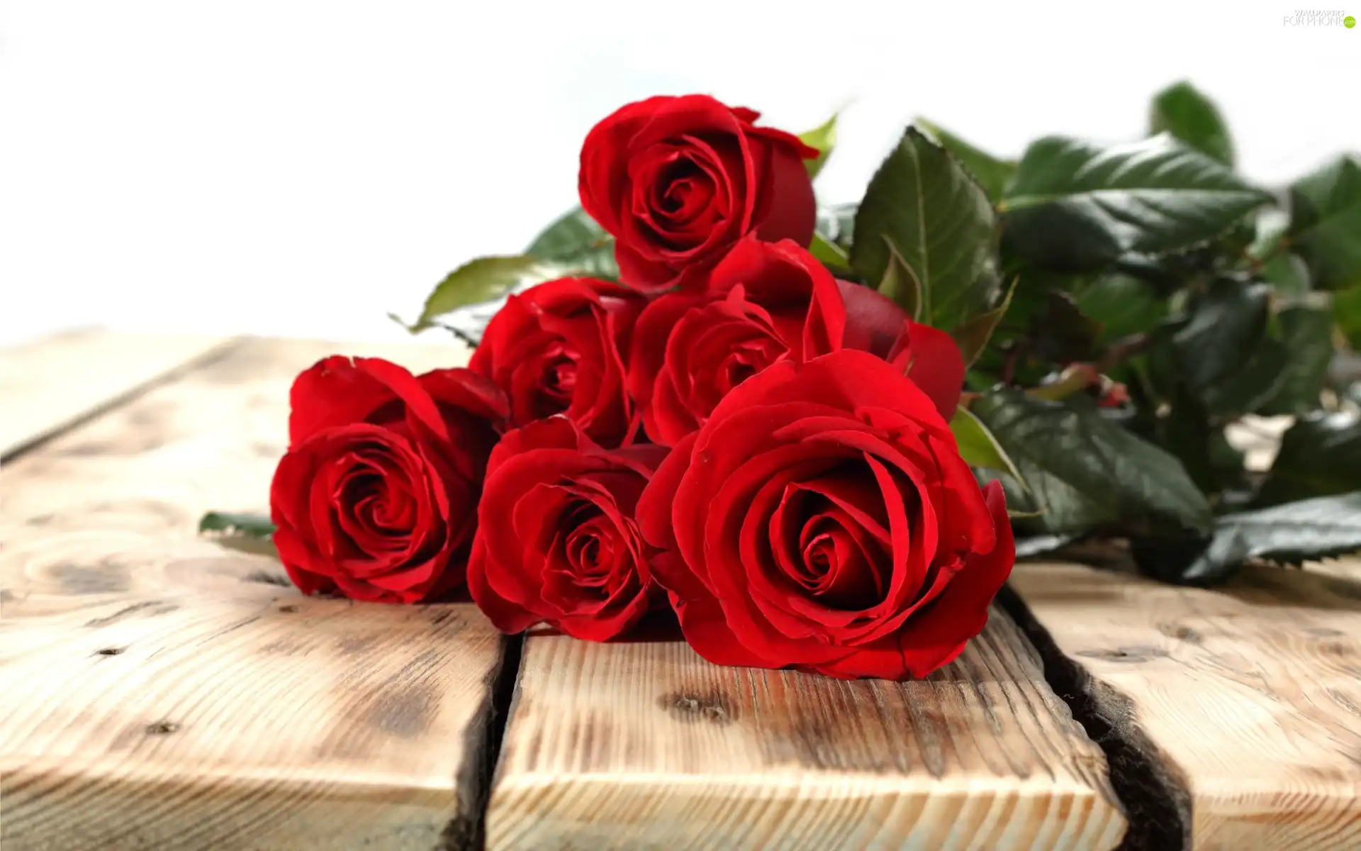 Bench, rouge, bouquet, Valentine