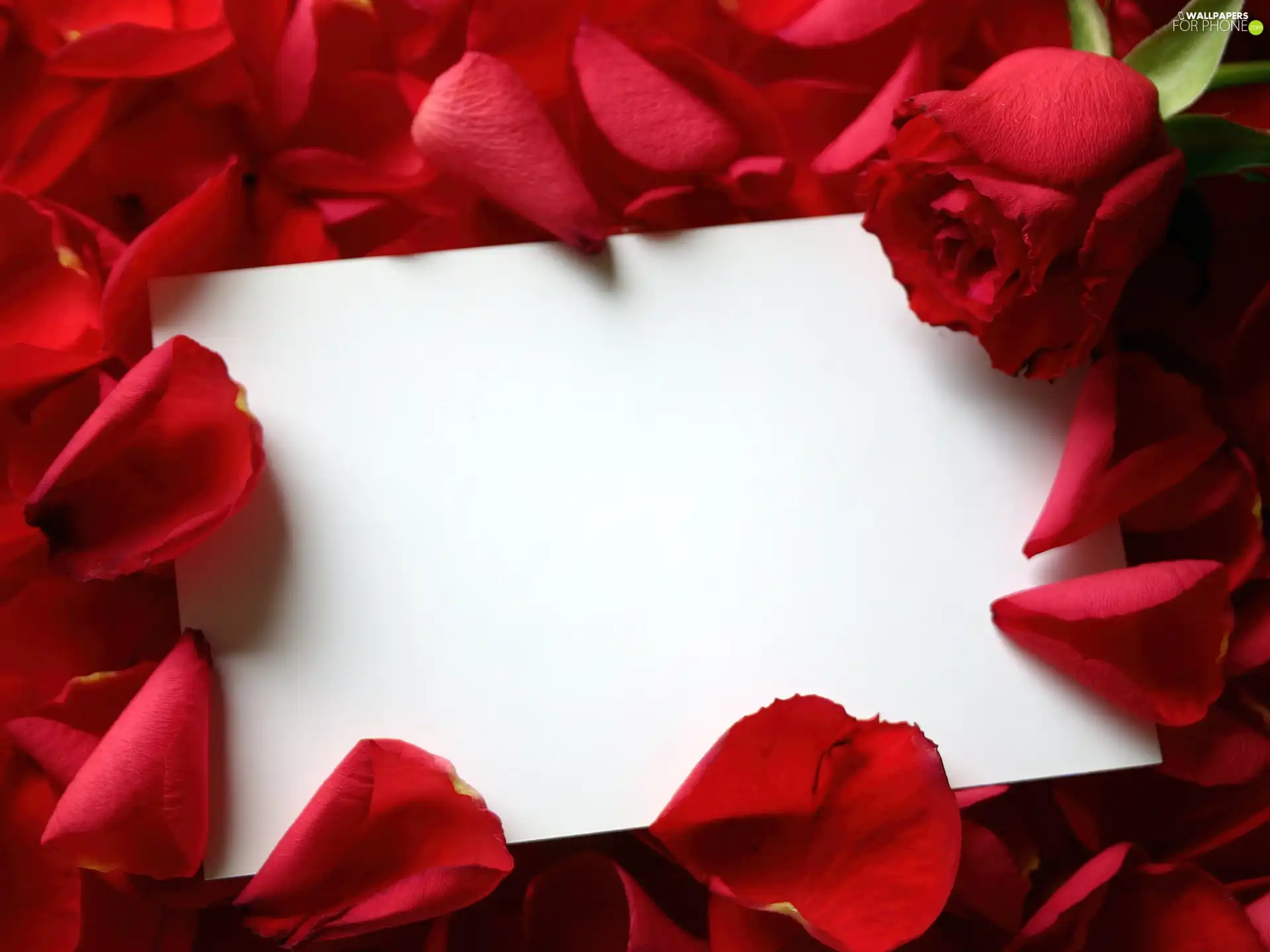 letter, rouge, Valentine