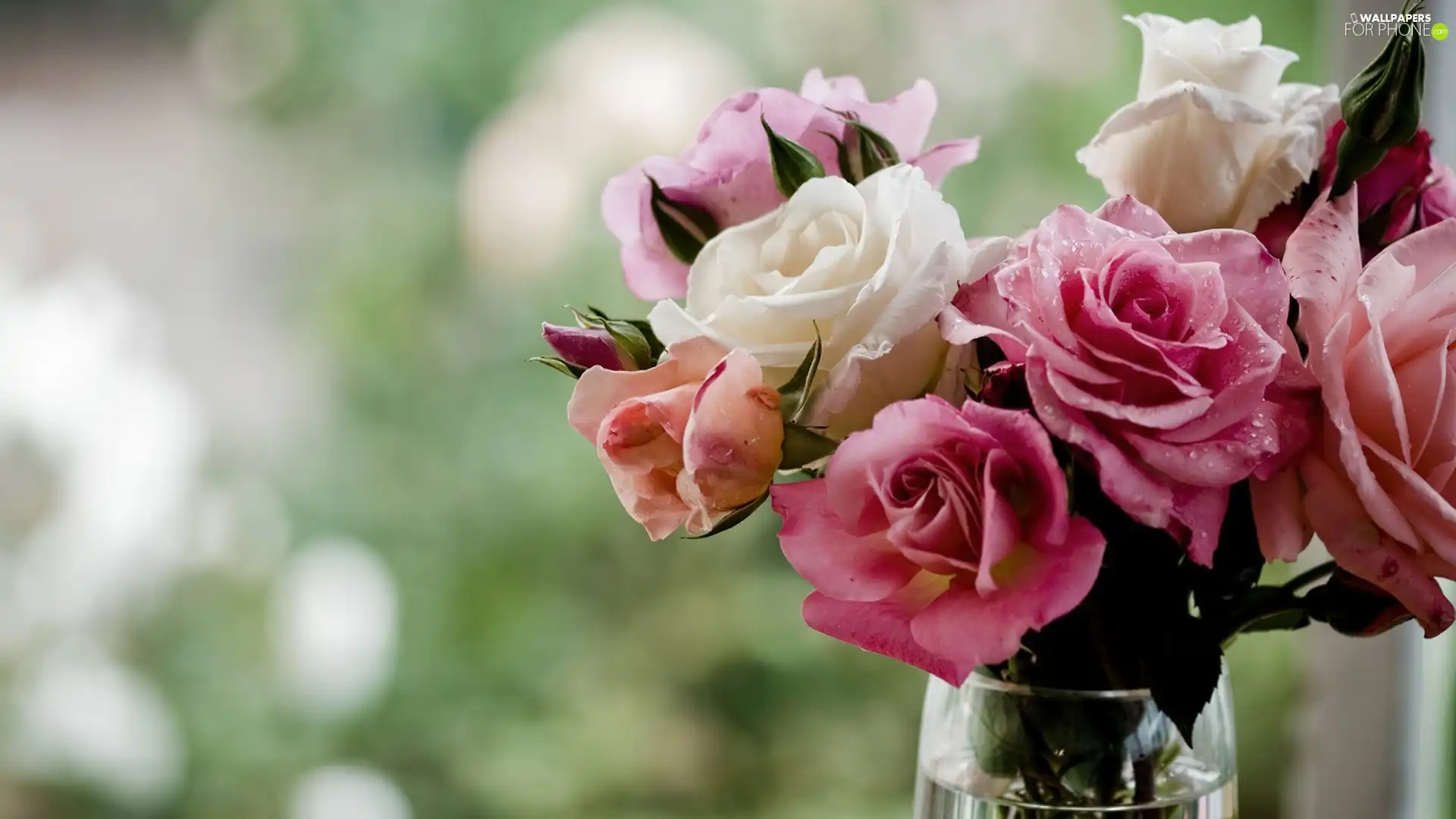 rouge, bouquet, pink