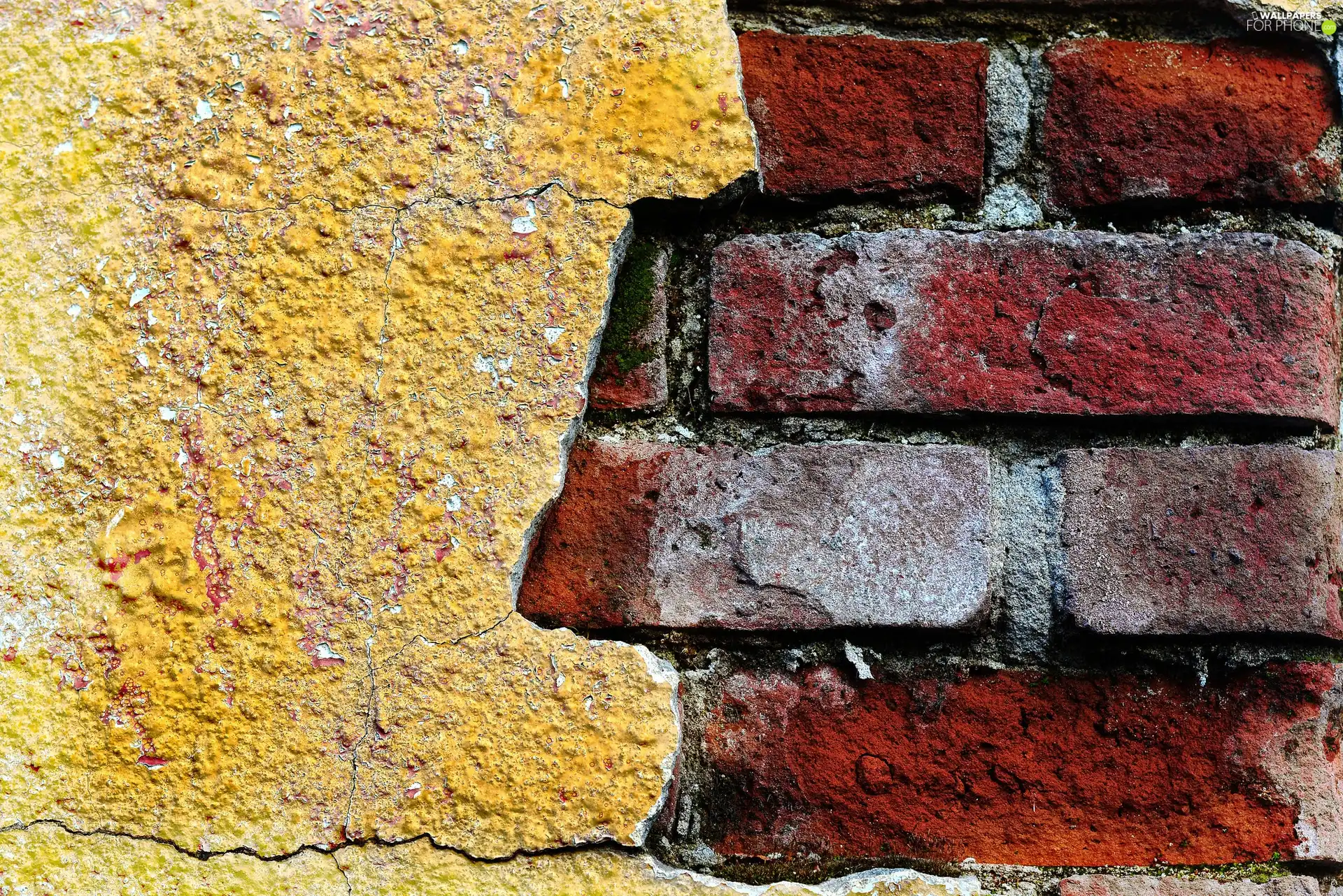 Roughcast, wall, brick