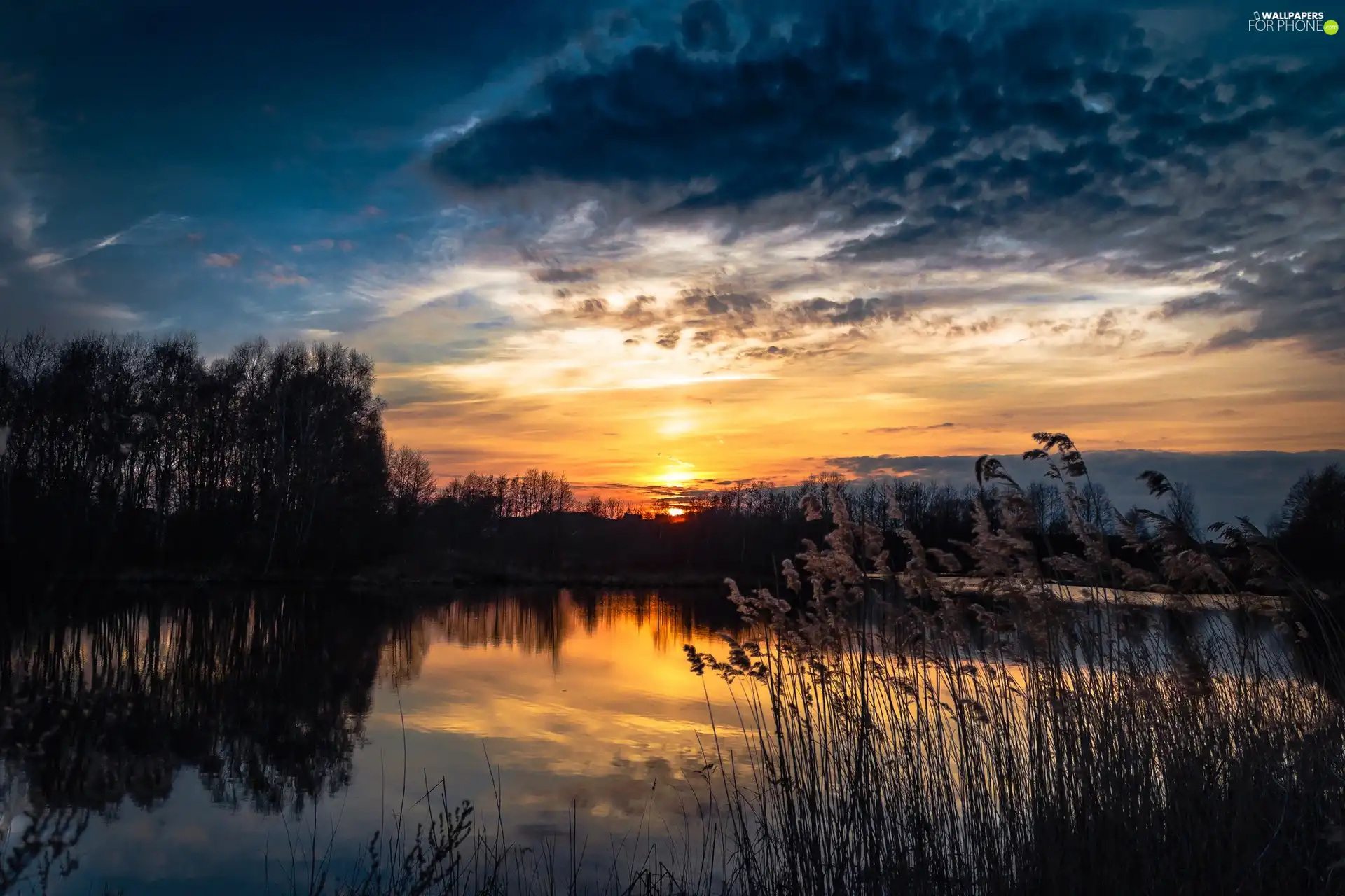 west, lake, rushes, sun