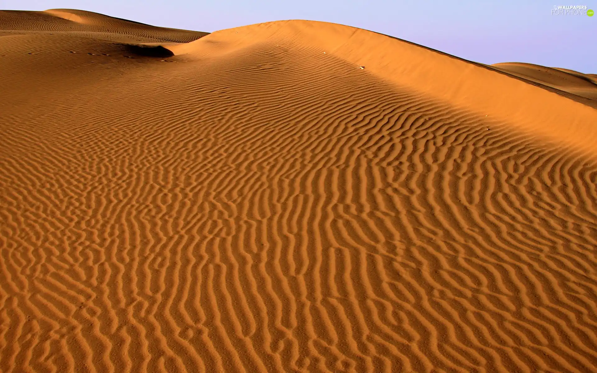 Sahara, sands, Desert