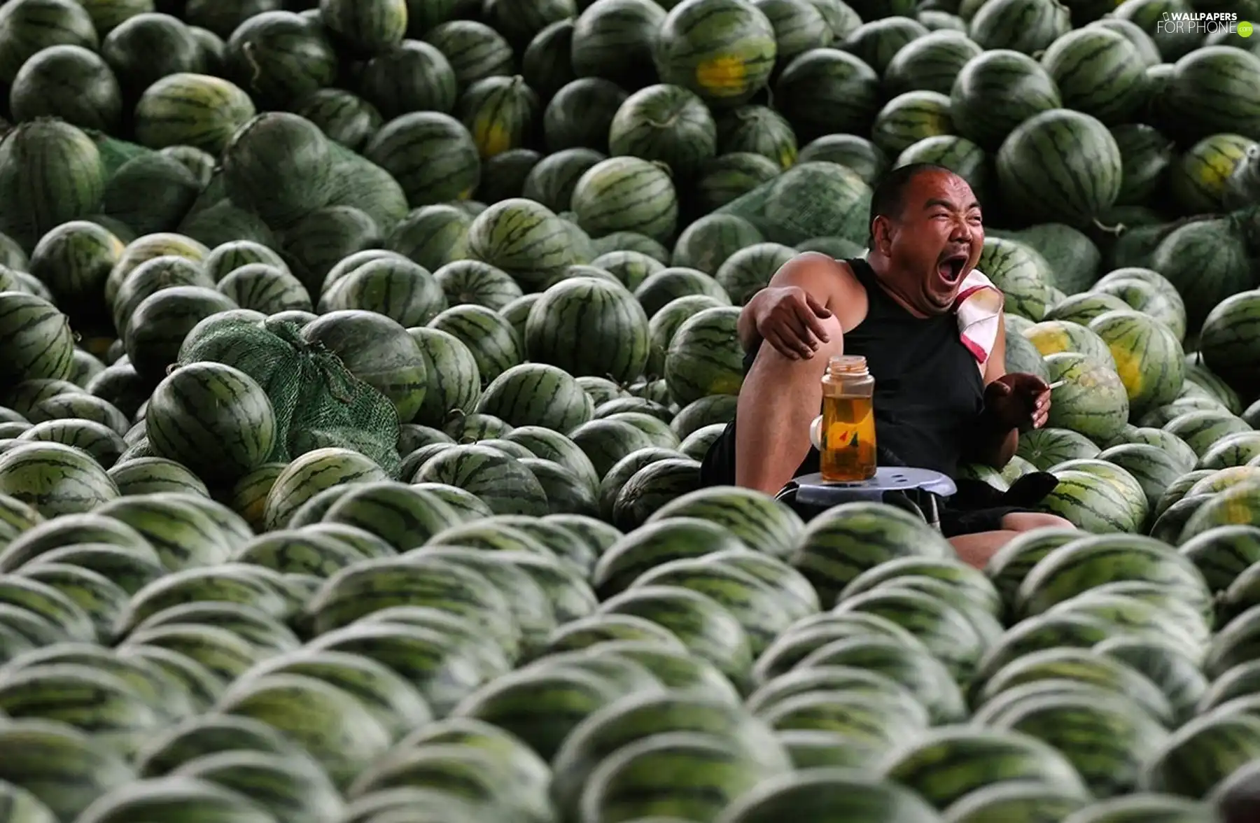 salesman, watermelons, market