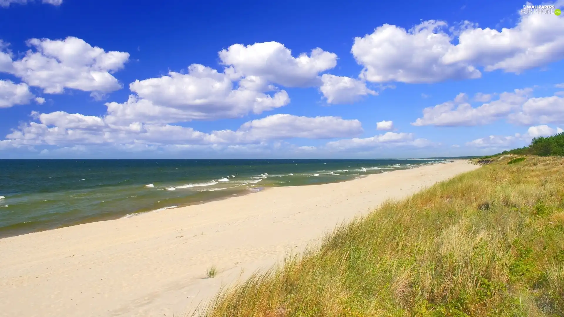 Sand, grass, Waves, Beaches, sea