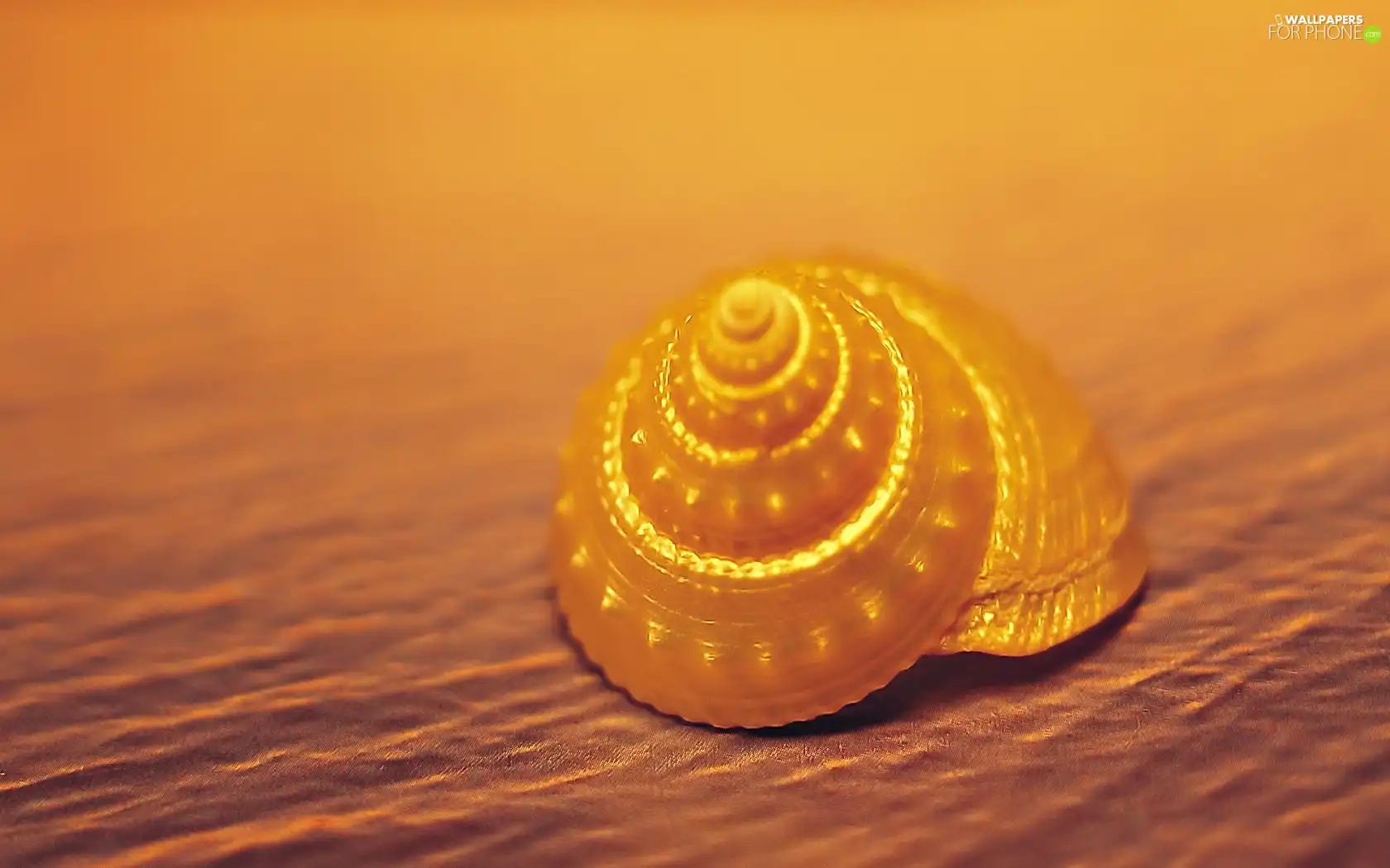 shell, Sand