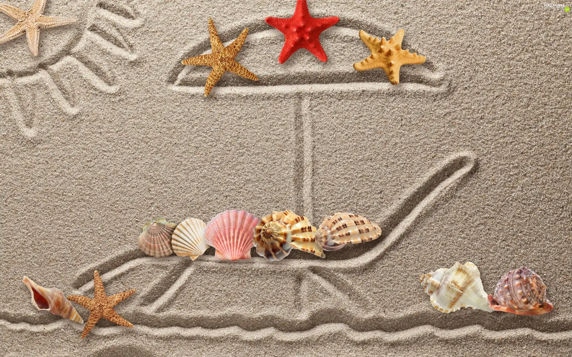 Shells, Sand